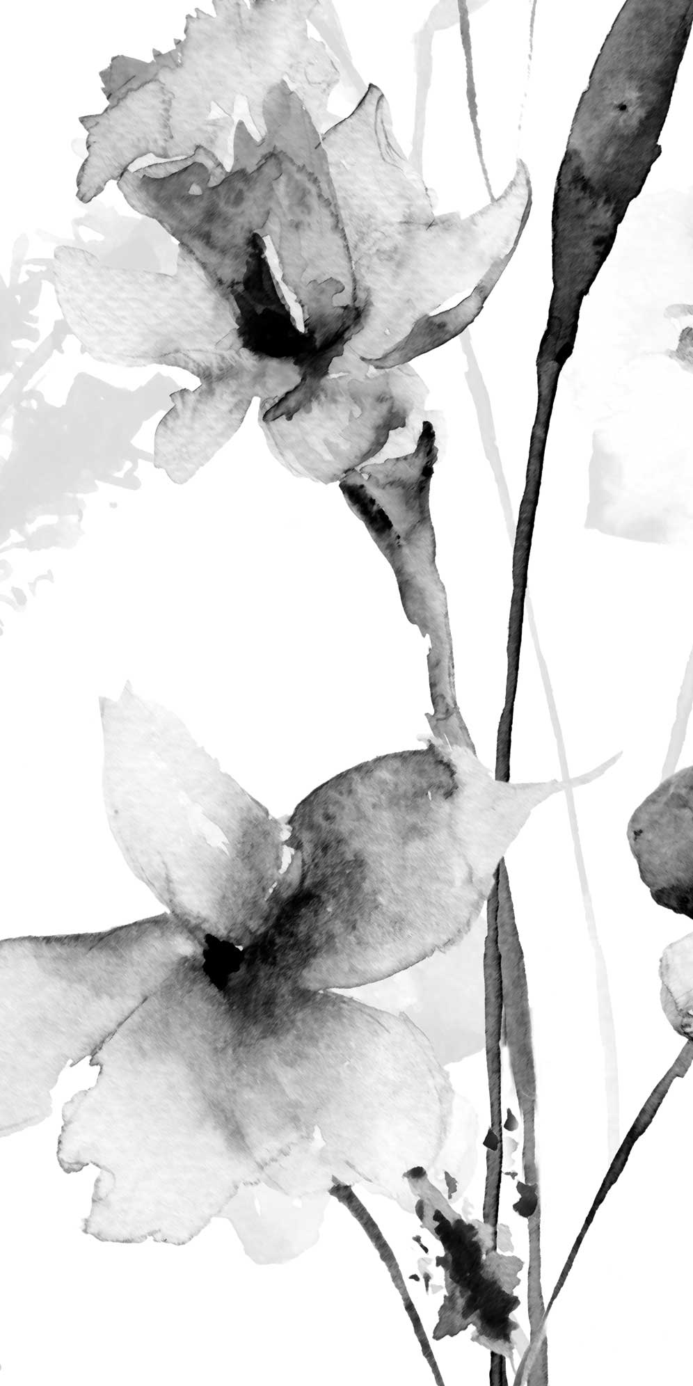 996x1992 Black & White Romantic Watercolour Flower Wallpaper