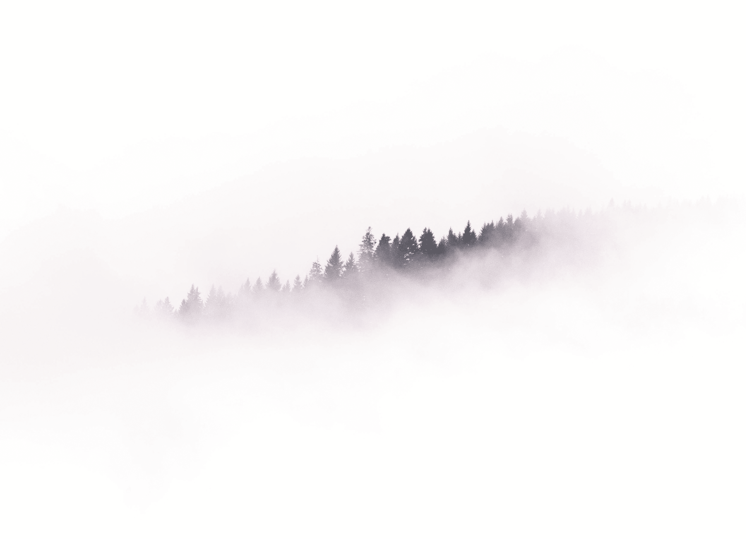2560x1849 Orion Magazine Sounds of Silence