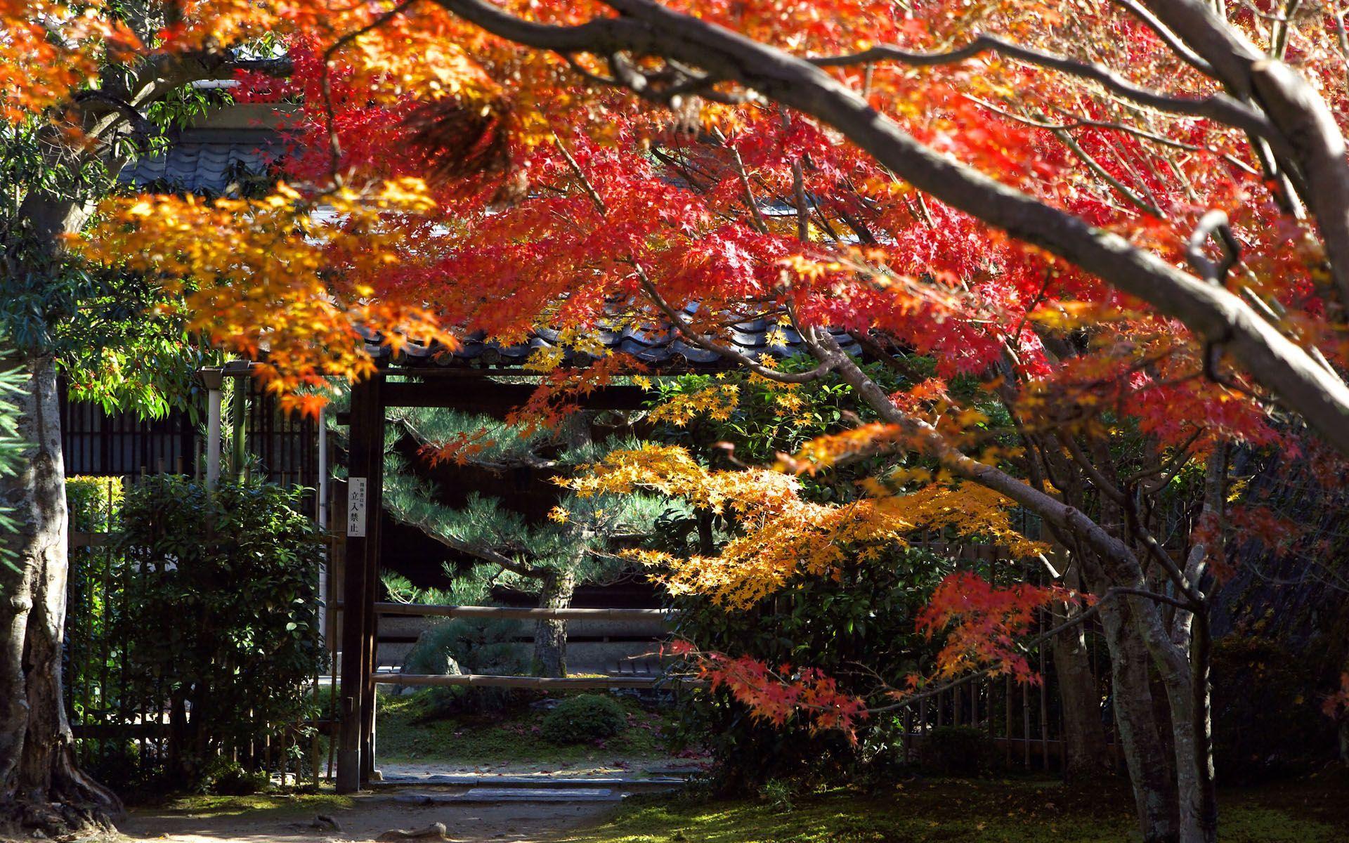 Japanese Autumn Desktop Wallpapers - Top Free Japanese Autumn Desktop ...