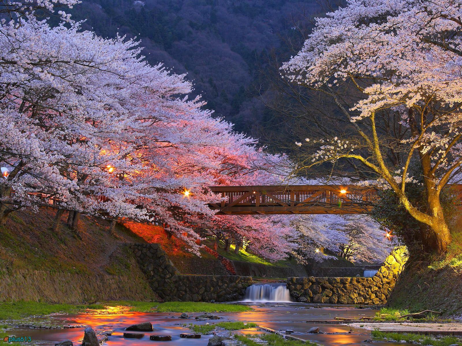 japan best scenery