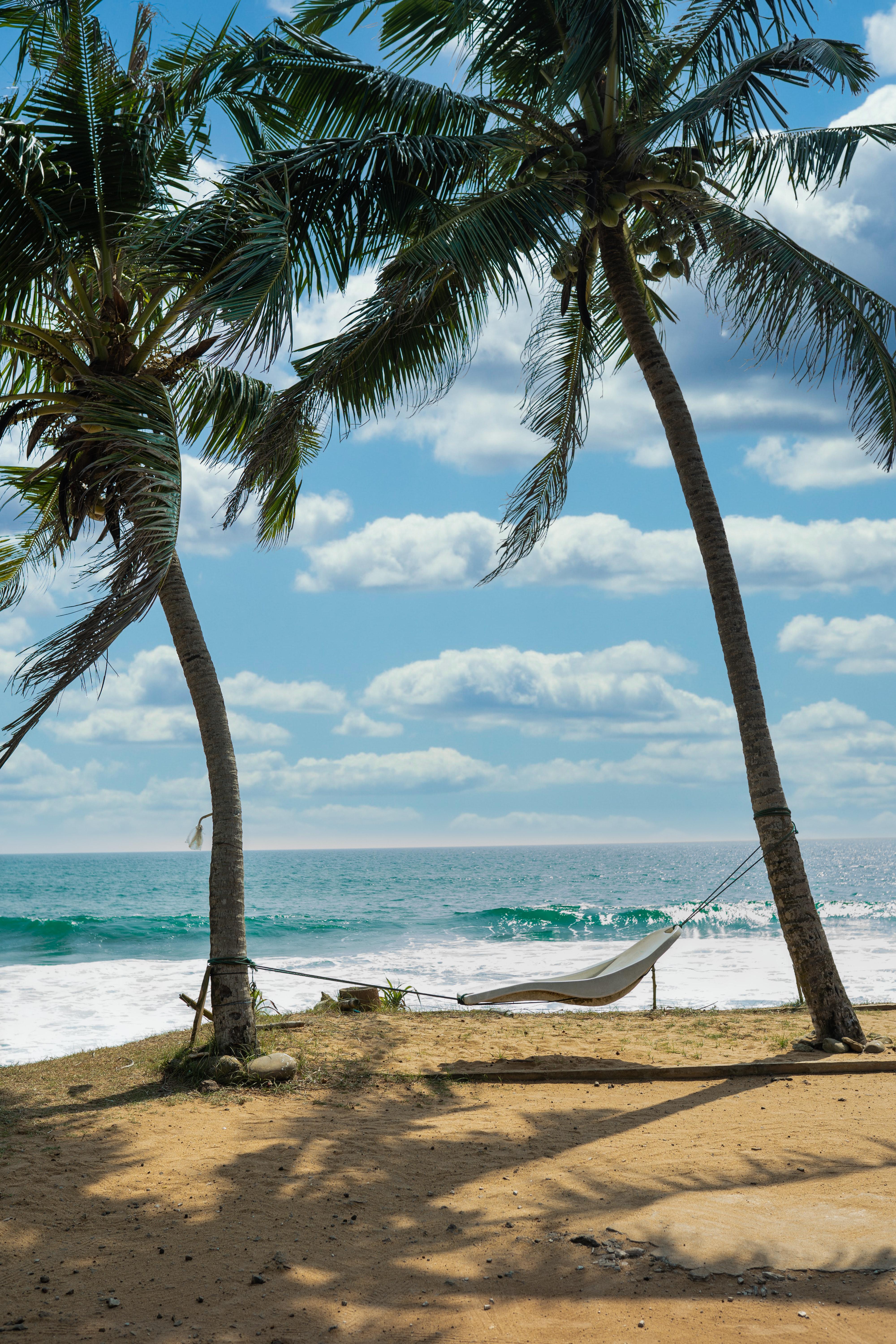 4000x6000 Beach View Photo, Download The BEST Free Beach View & HD Image