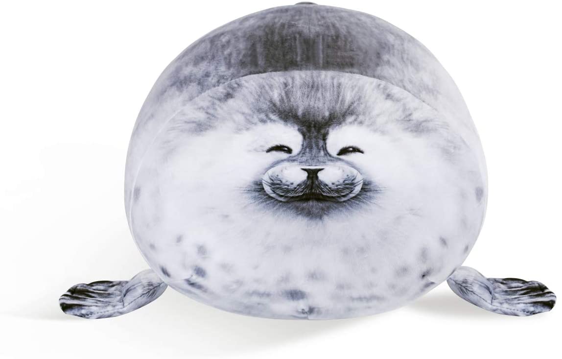 Fat Seal Wallpapers - Top Free Fat Seal Backgrounds - WallpaperAccess