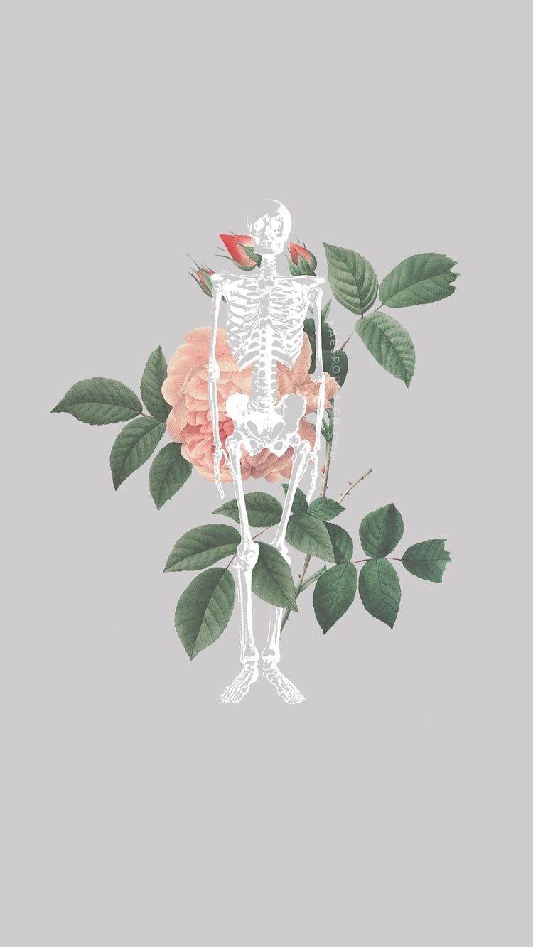 750x1333 Wallpaper. 동상, 아이폰 배경화면, 배경화면