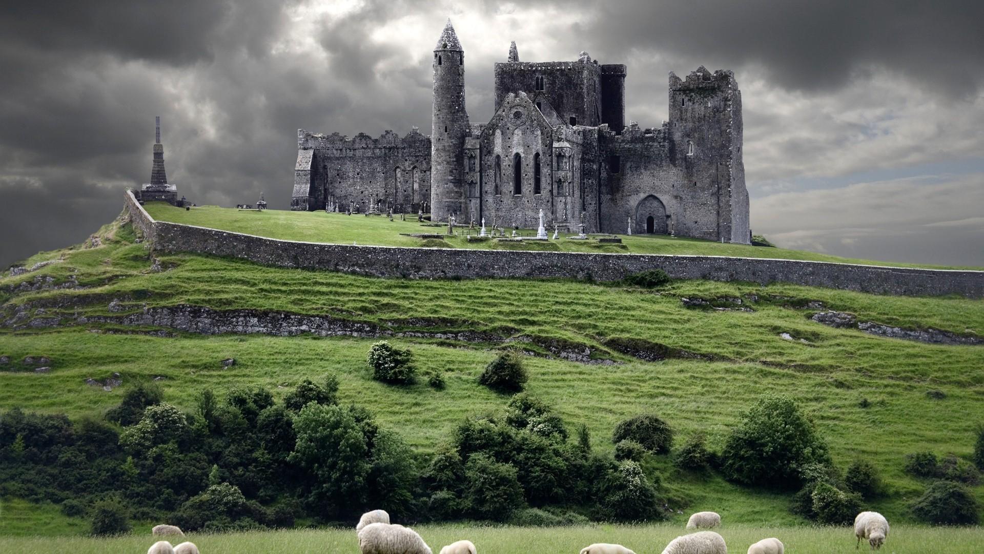 1920x1080 animals, sheep, landscape, Ireland, castle, ruin Gallery HD Wallpaper