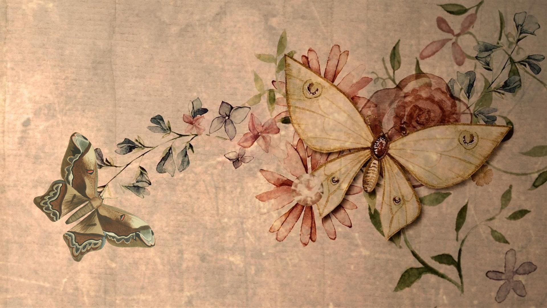 1920x1080 Butterfly Wallpaper Desktop Background Victorian Wallpaper