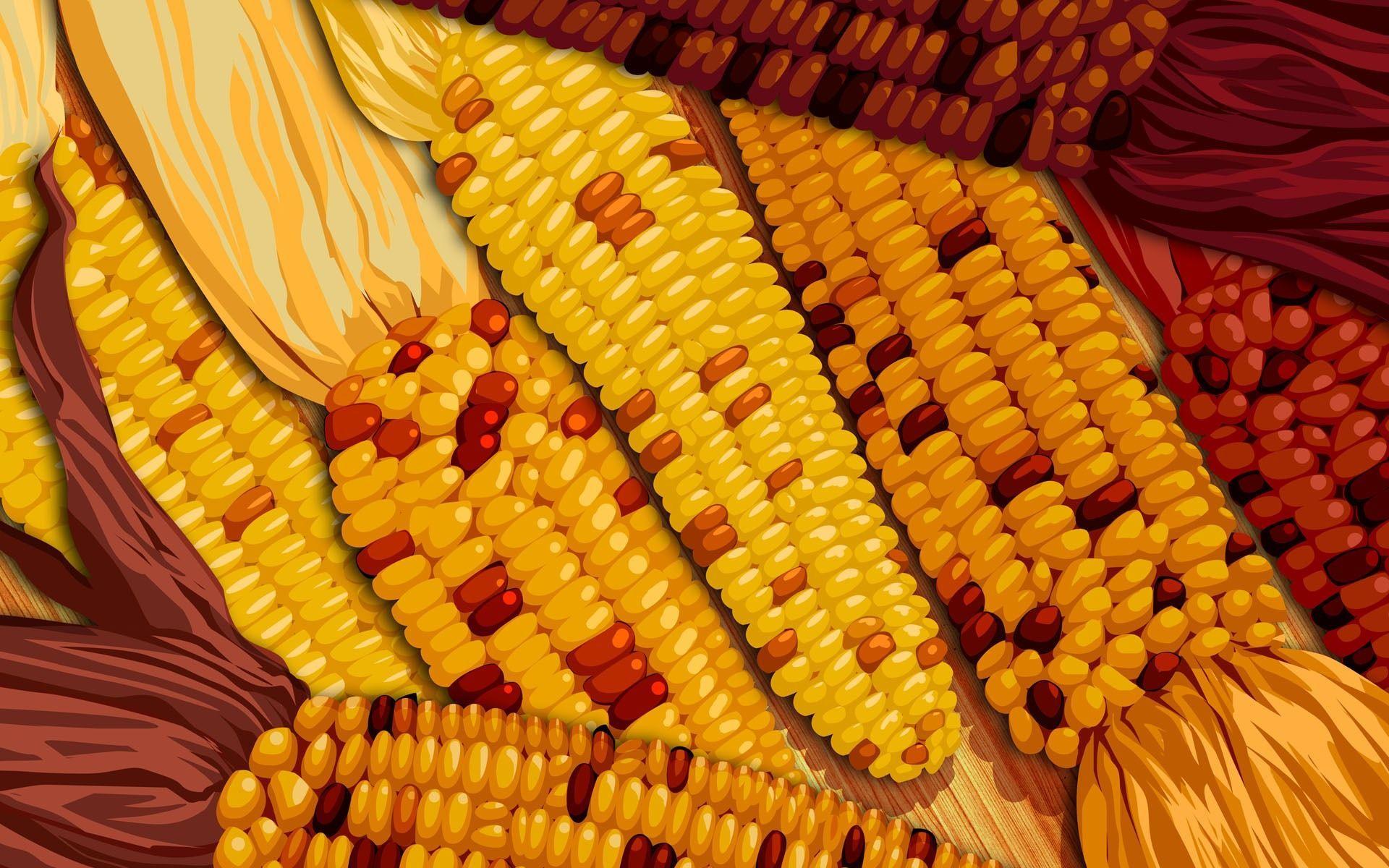 Corn Wallpapers - Top Free Corn Backgrounds - WallpaperAccess
