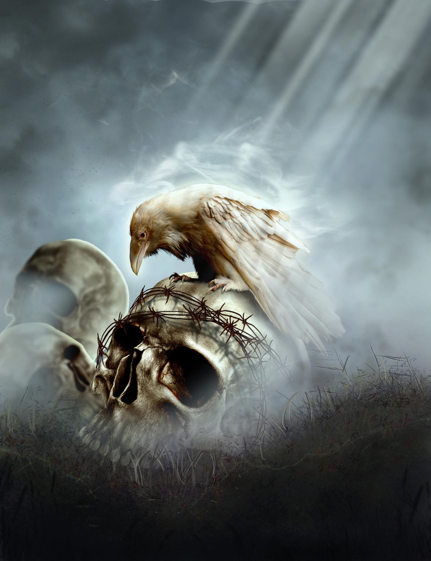 1400x1820 White Raven*
