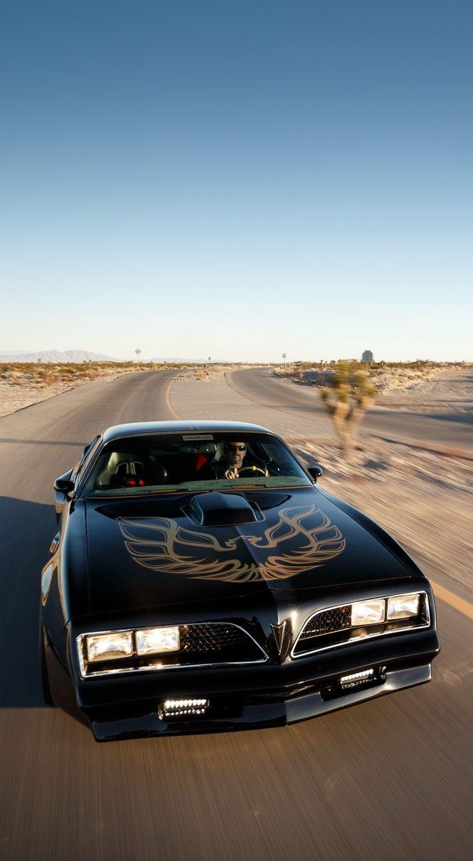 665x1210 Pontiac Firebird Trans Am. Pontiac firebird trans am, Pontiac firebird, Trans am