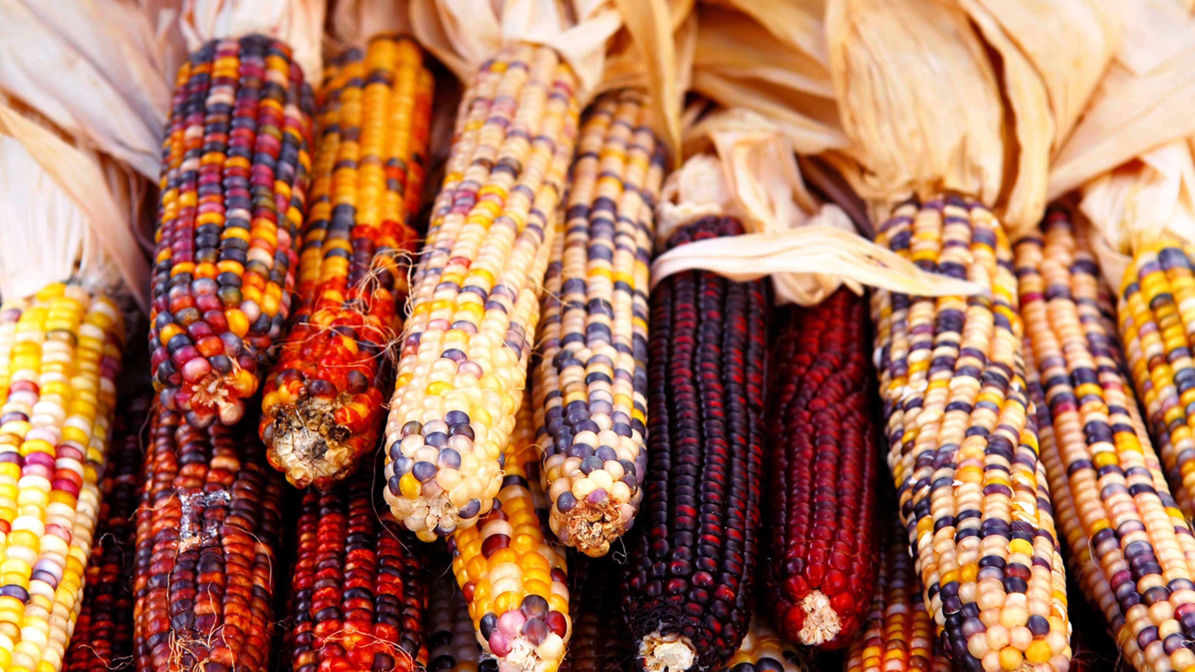 3840x2160 Festive 2016 Thanksgiving 4K Wallpaper. Free 4K Wallpaper
