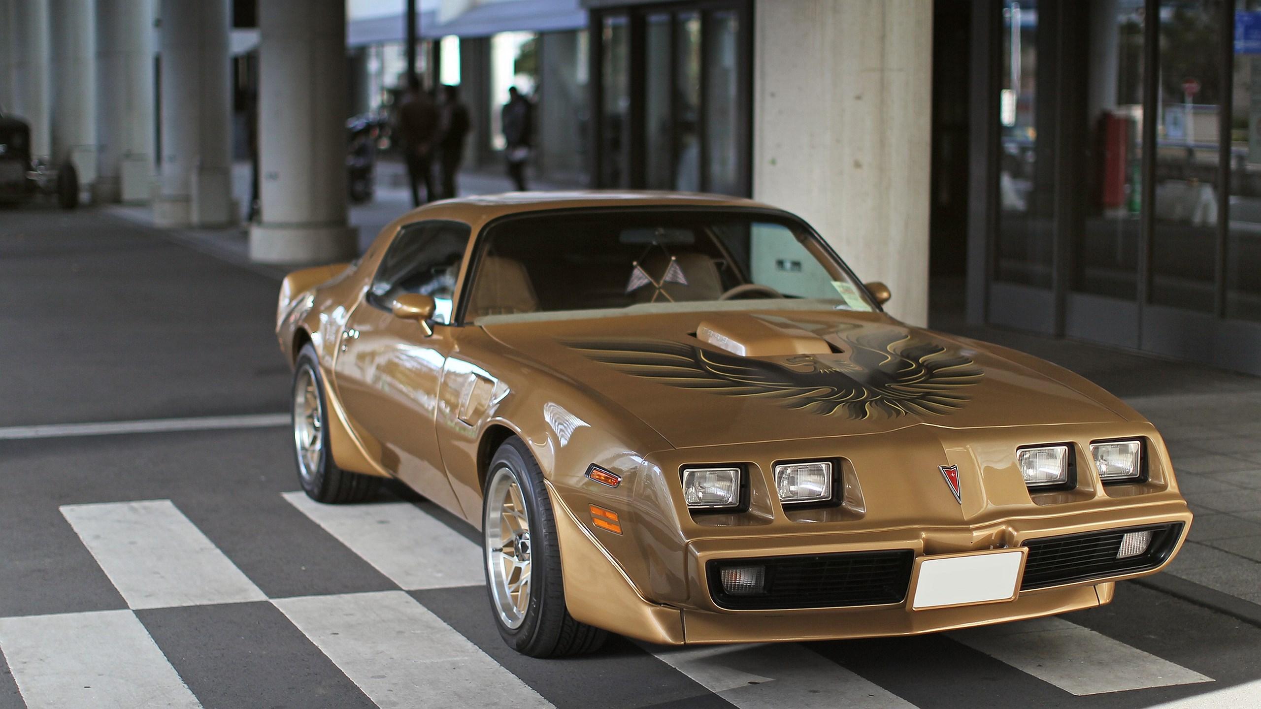 2560x1440 pontiac trans am HD wallpaper, background