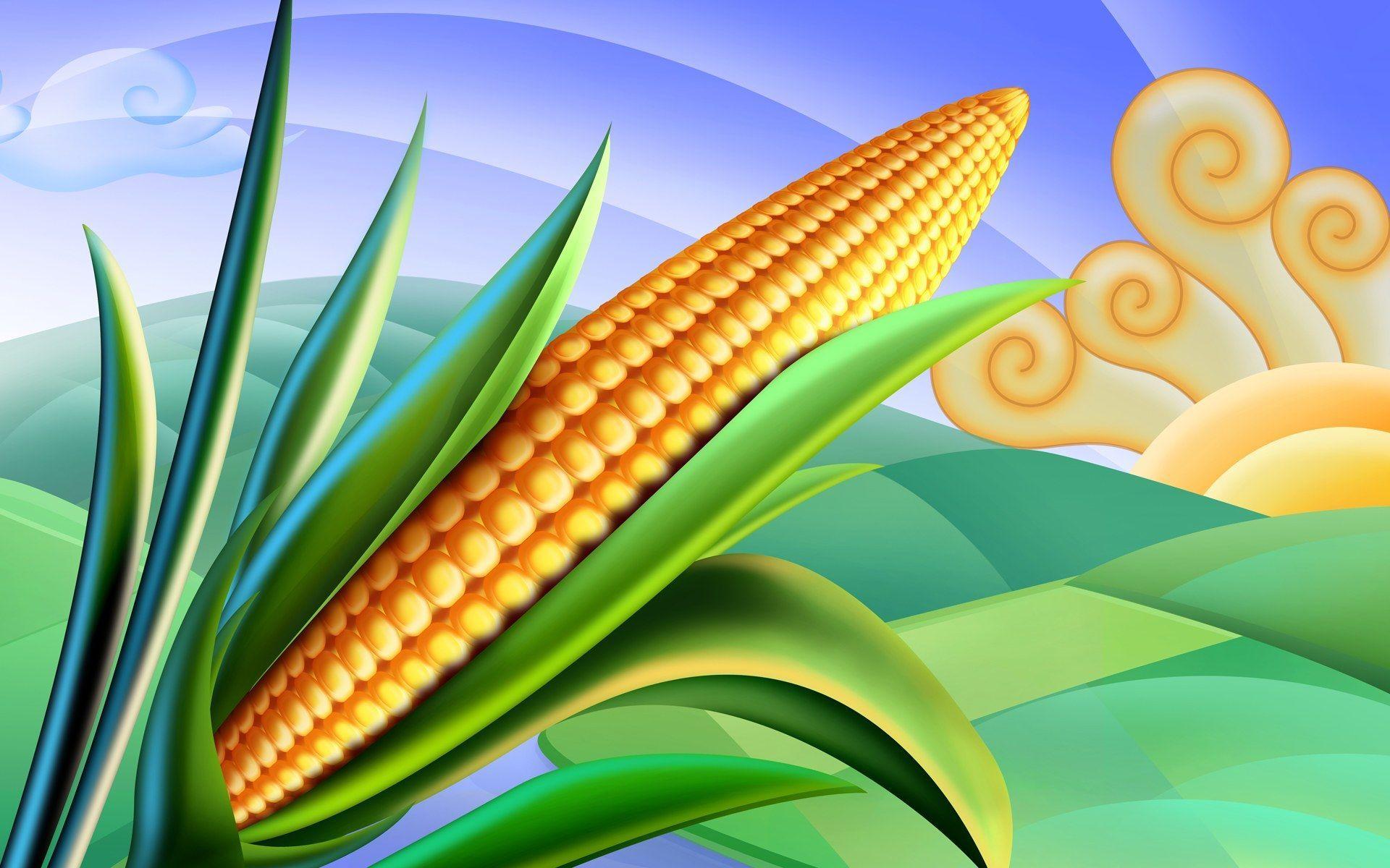 1920x1200 image cartoon cornfields. HD Food illustrations : Delicious food