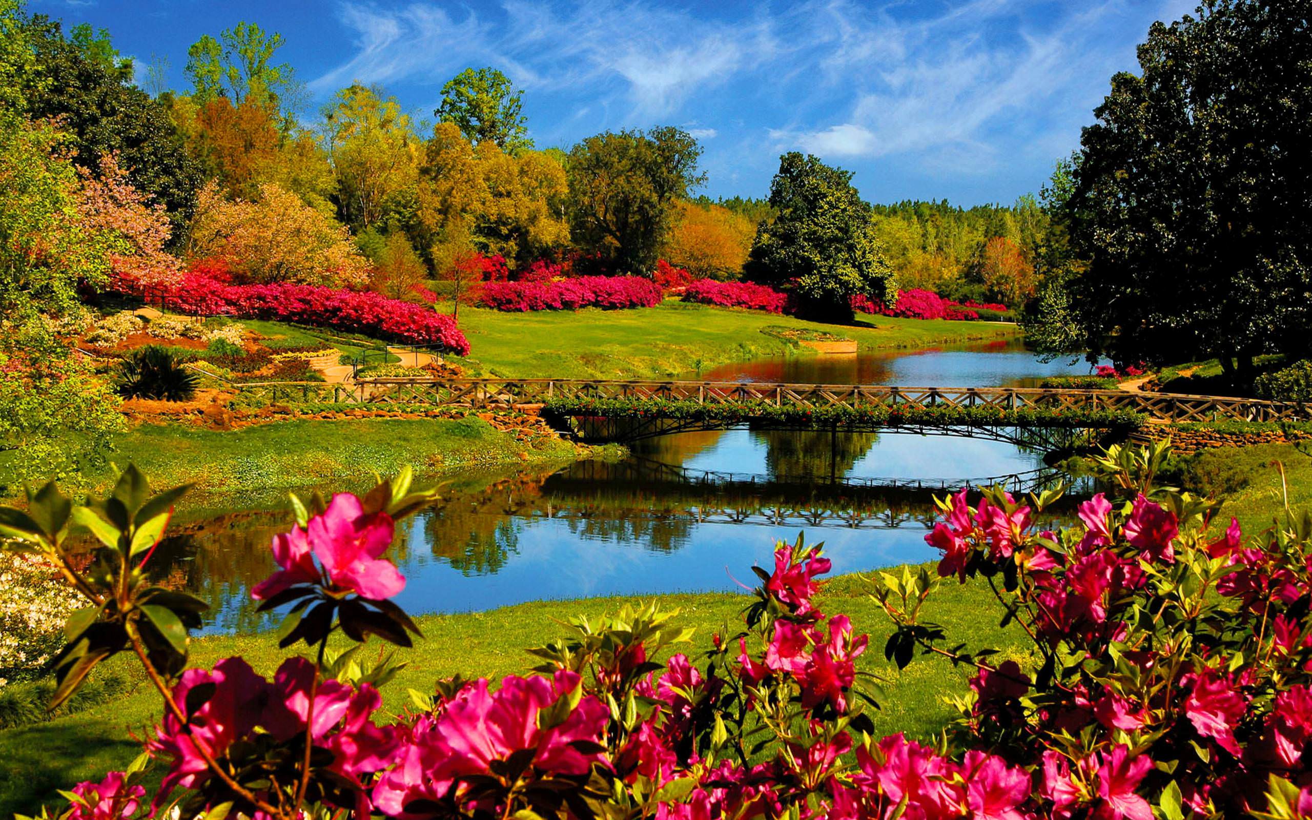 2560x1600 Beautiful Nature Scenery Wallpaper