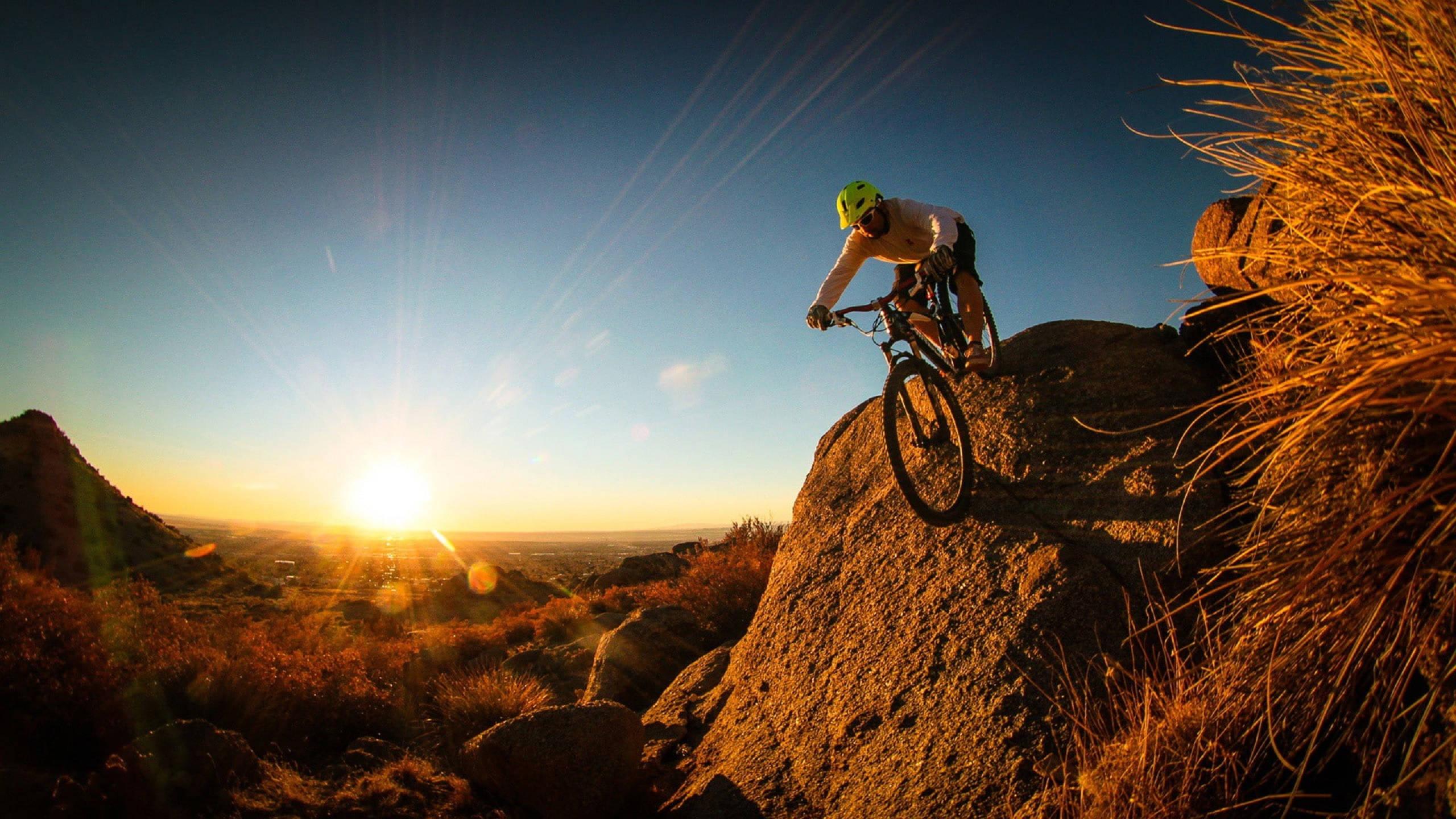 2560x1440 Download Extreme Sports Mountain Biking Sunset Wallpaper