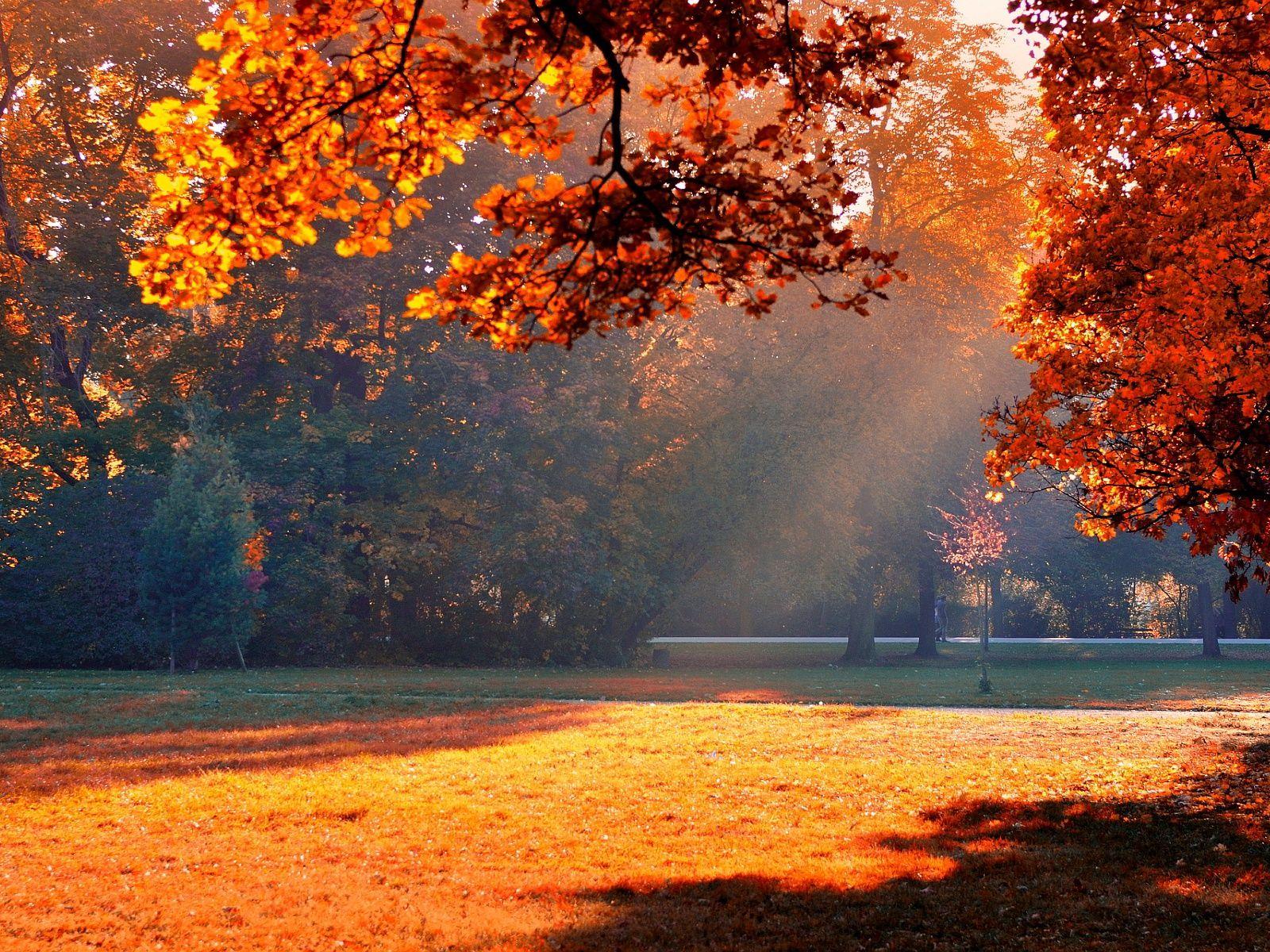 Autumn Sunshine Wallpapers   Top Free Autumn Sunshine Backgrounds