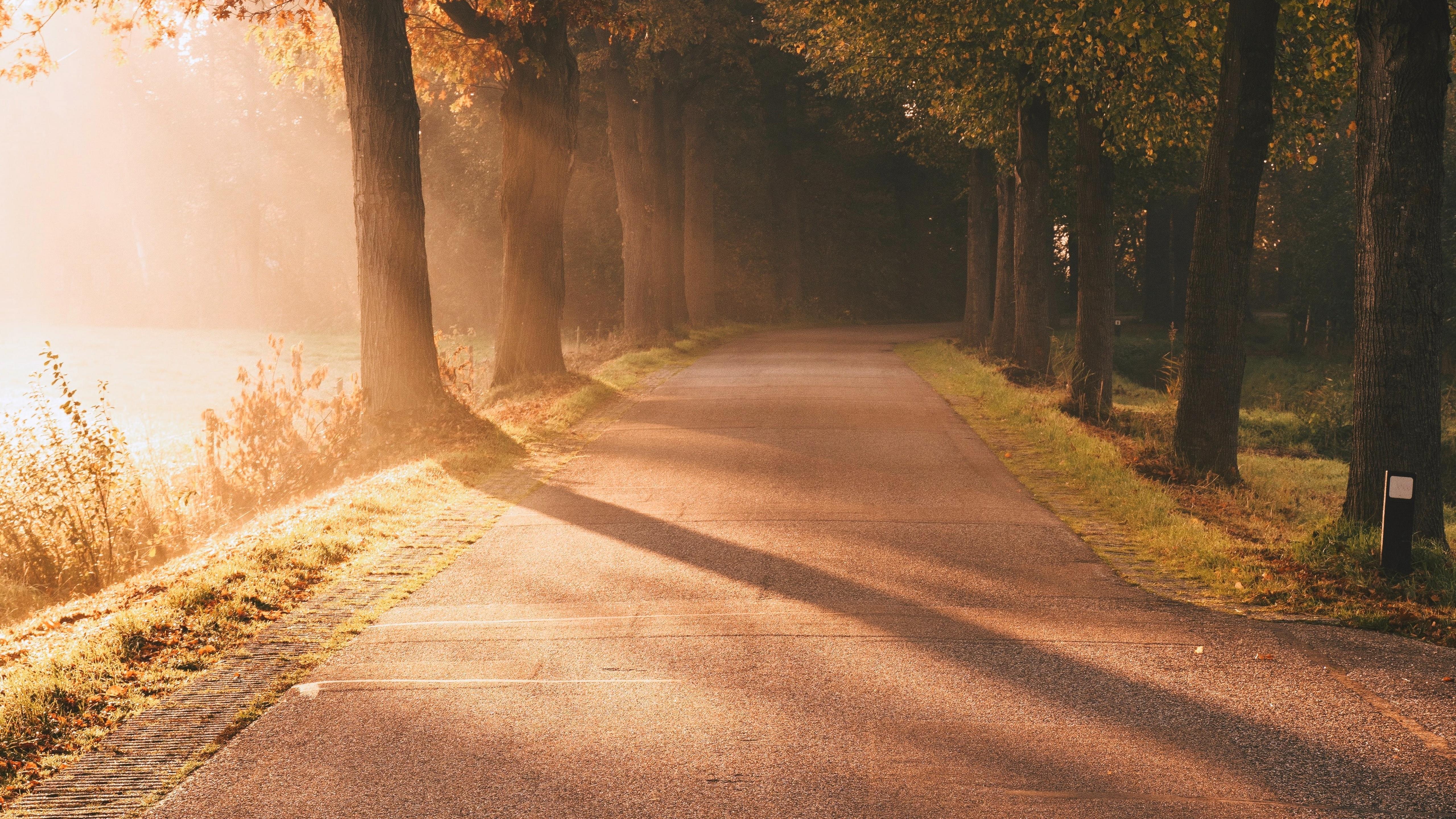 5120x2880 Autumn Wallpaper 4K, Sunlight, Sun rays, Nature