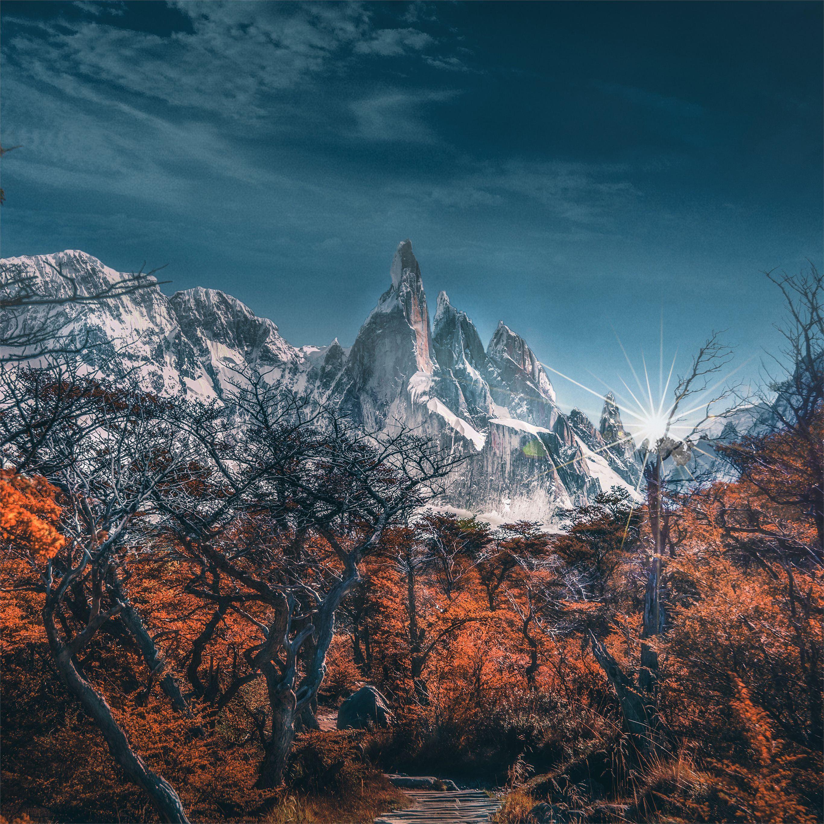 2732x2732 snowy mountains trees landscape 5k iPad Pro Wallpaper Free Download