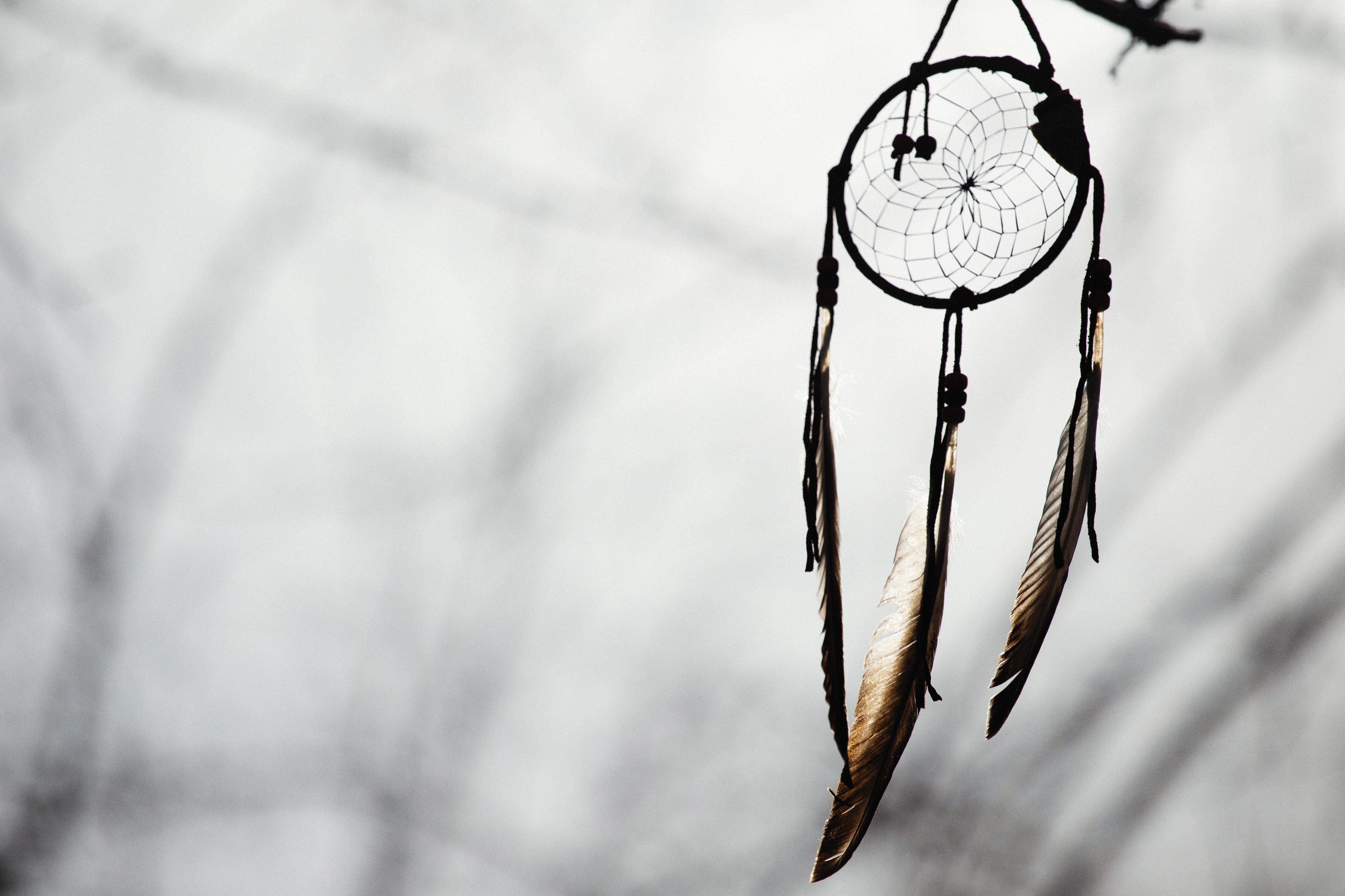 5472x3648 Dream Catcher Photo, Download The BEST Free Dream Catcher & HD Image