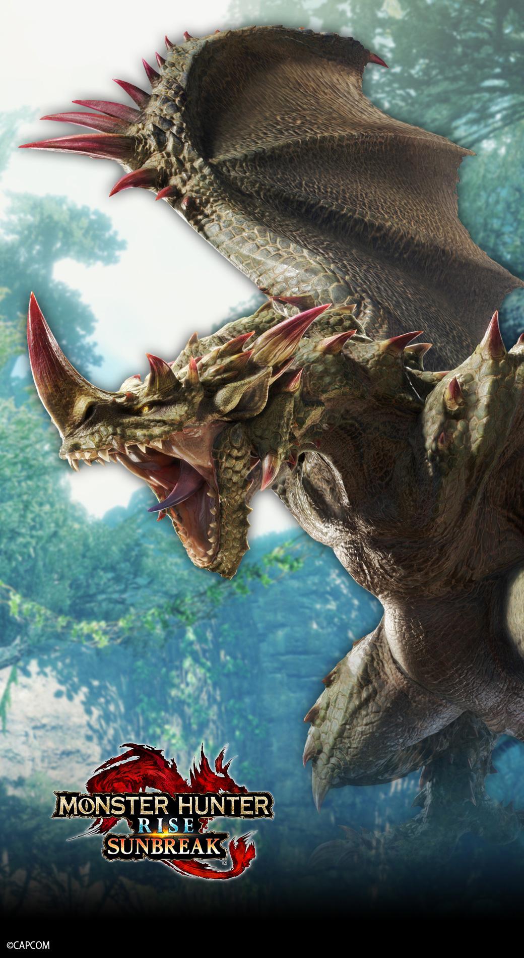 1040x1900 Monster Hunter Asia