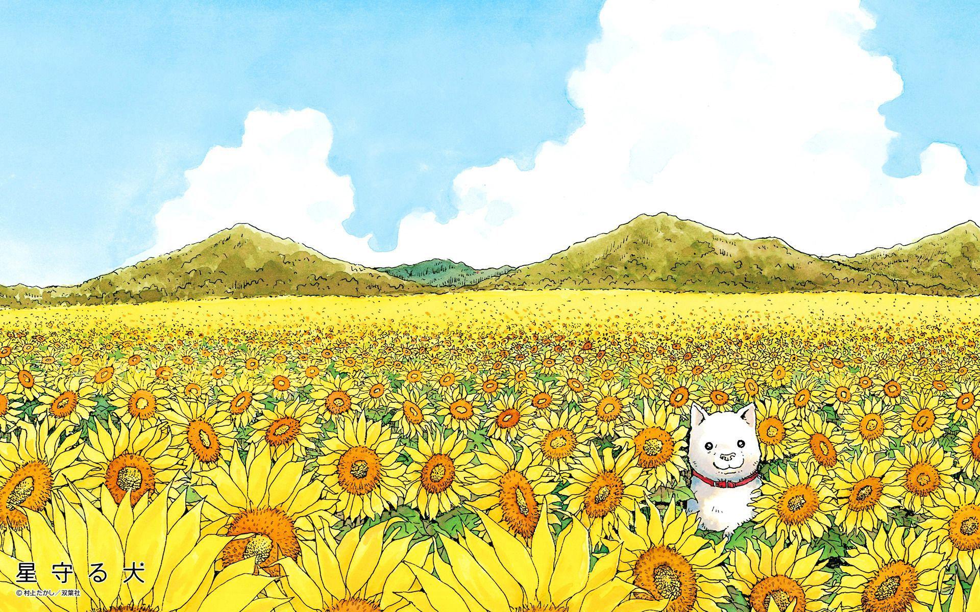 1920x1200 A dog in a field of flowers. One of the less abstract but still