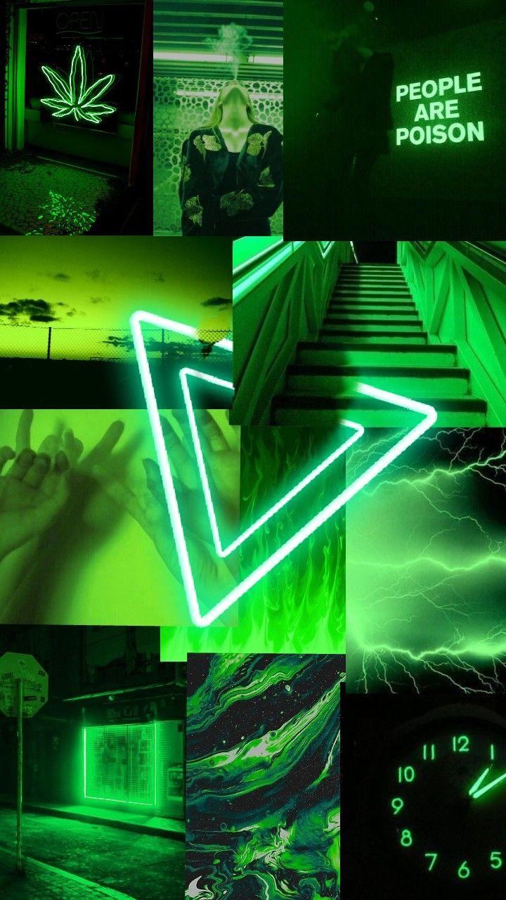 720x1280 Green wallpaper. Green wallpaper, iPhone wallpaper green, Green aesthetic tumblr