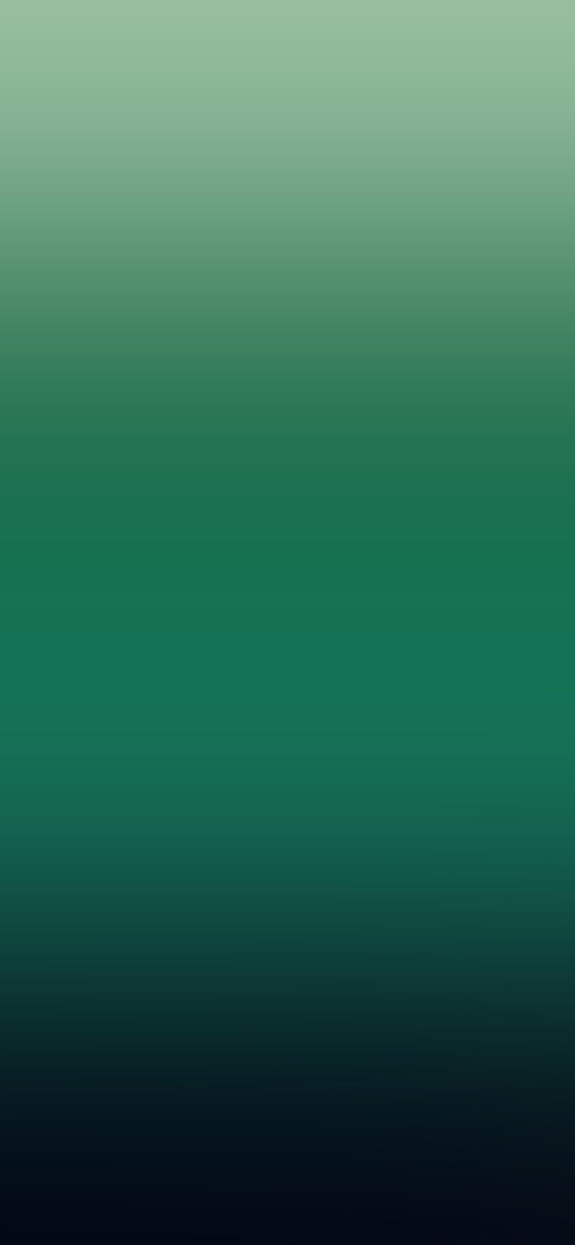 Dark Green Apple Wallpapers Top Free Dark Green Apple Backgrounds