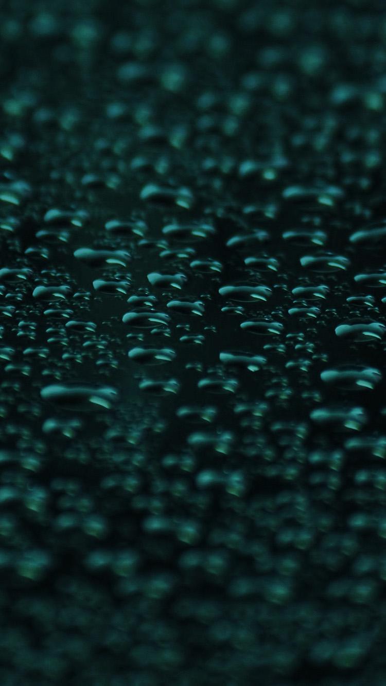 Dark Green Apple Wallpapers Top Free Dark Green Apple Backgrounds