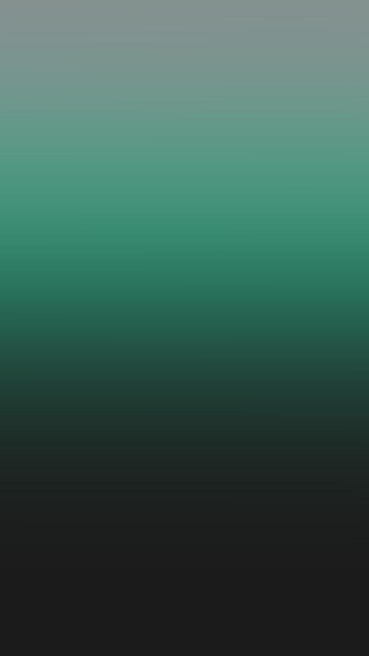 Dark Green Apple Wallpapers Top Free Dark Green Apple Backgrounds