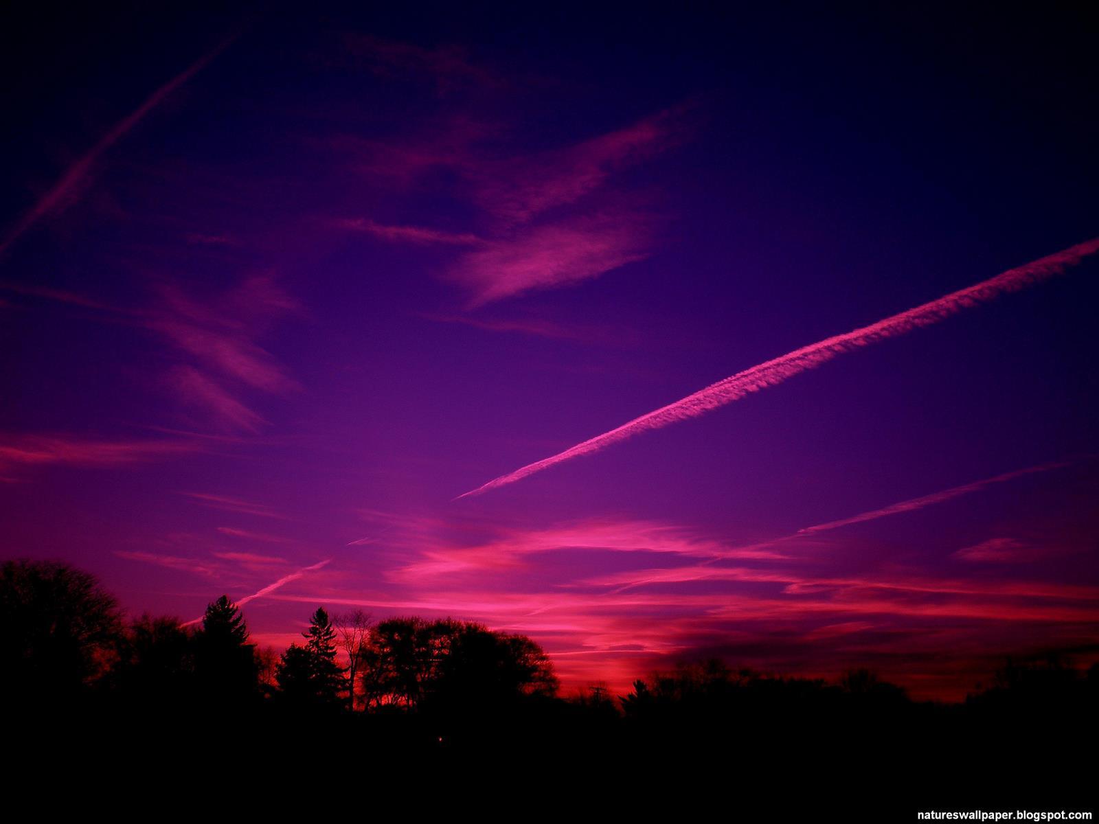 1600x1200 Purple and Red Wallpaper