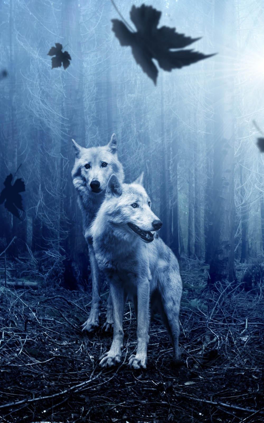 1000x1600 Wolves Night Forest 4K Ultra HD Mobile Wallpaper
