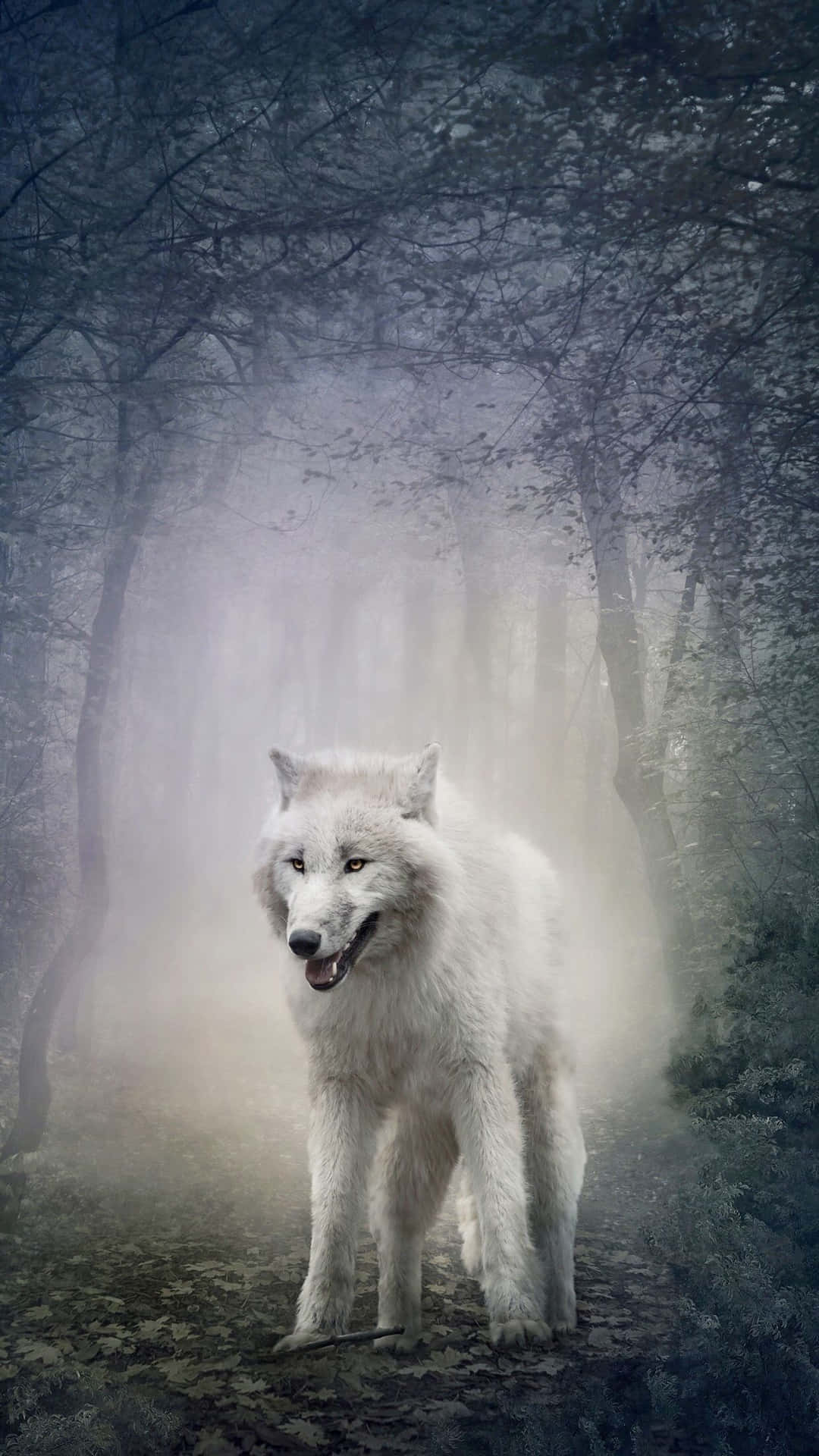 1080x1920 Free Wolf Phone Wallpaper Downloads, Wolf Phone Wallpaper for FREE
