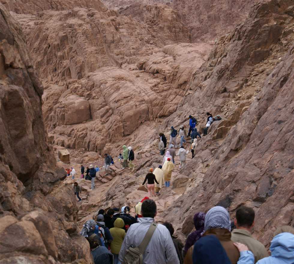 980x880 Photos of South Sinai: Image and photo