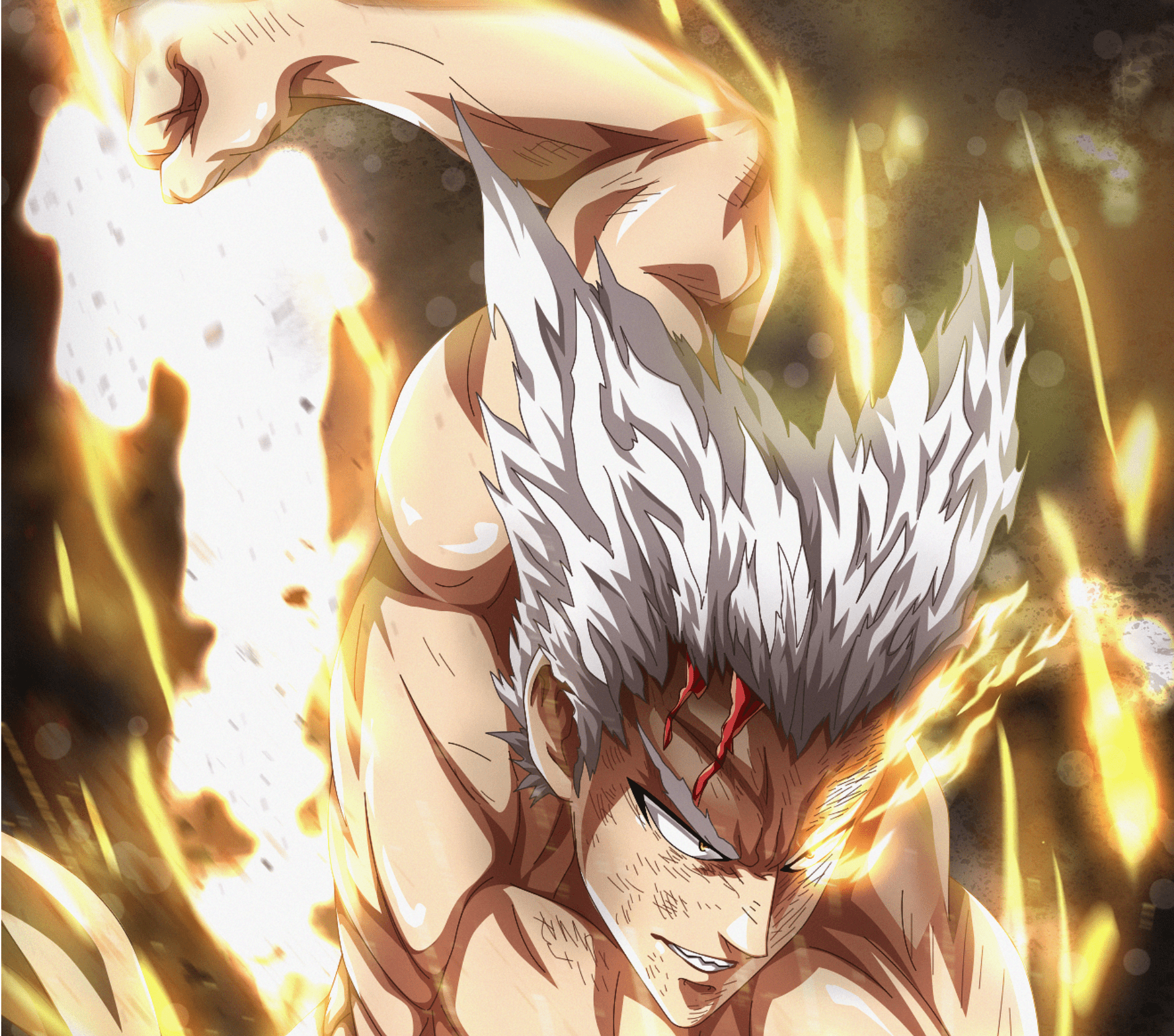1920x1694 Garou (One Punch Man) HD Wallpaper And Background