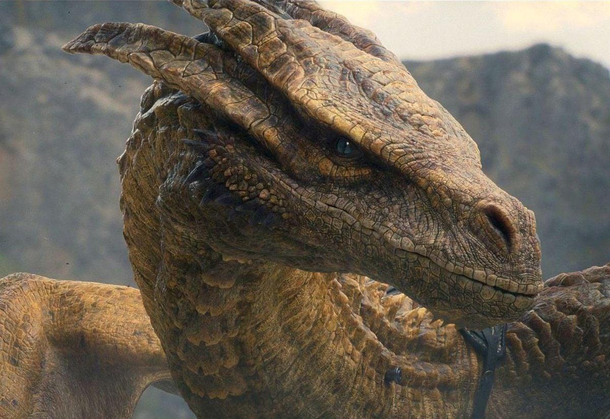 1200x824 Syrax Wiki of Ice and Fire
