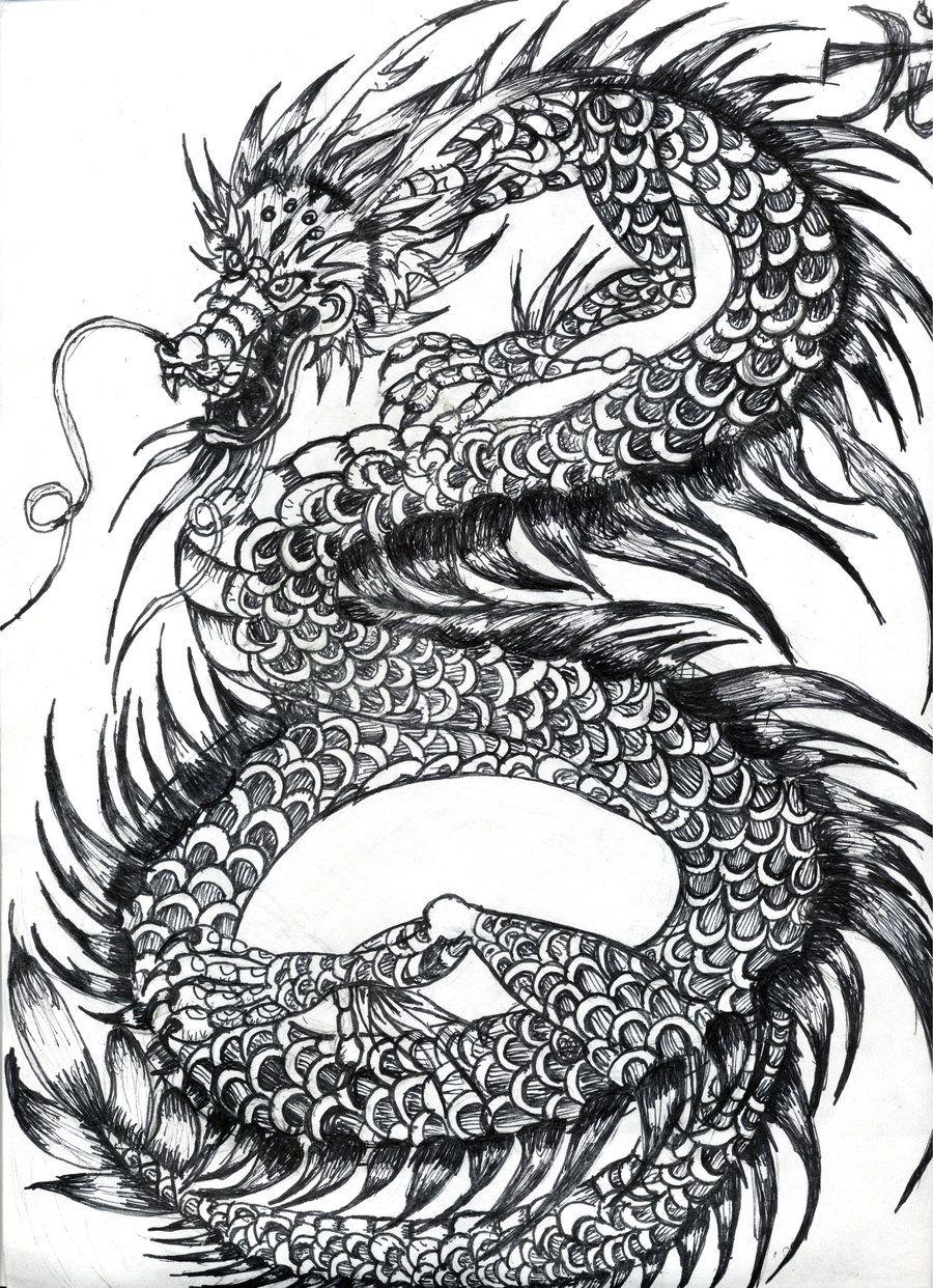 Dragon Black and White Wallpapers Top Free Dragon Black and White