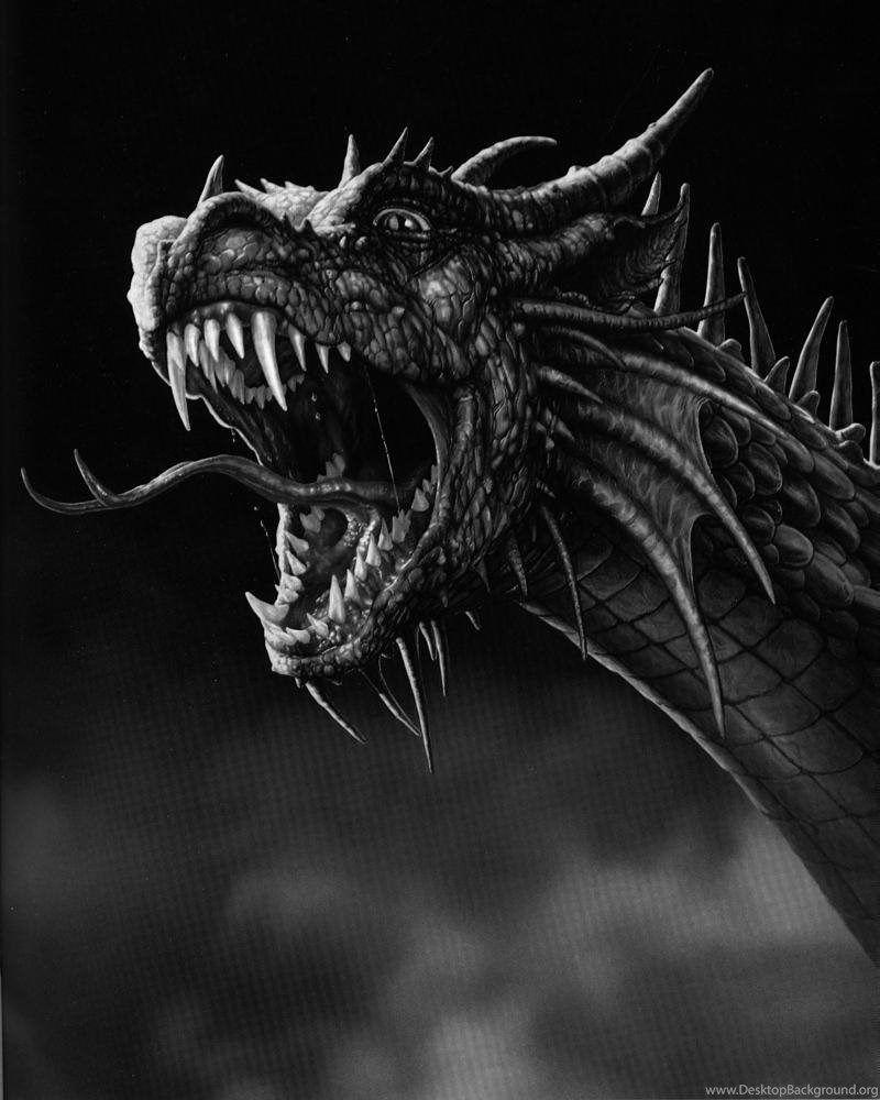800x1000 Download Wallpaper: Black Dragon, Wallpaper For Desktop Desktop