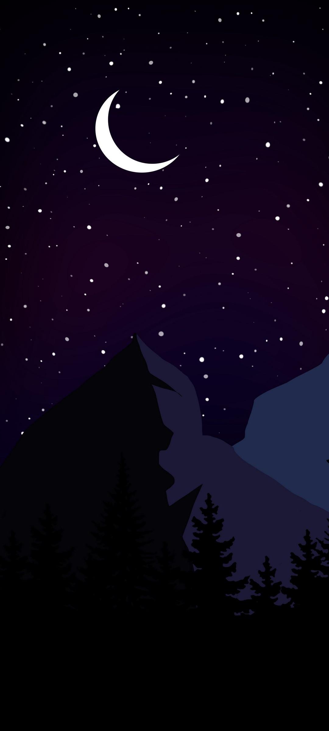 1080x2400 Vector Dark Night Wallpaper