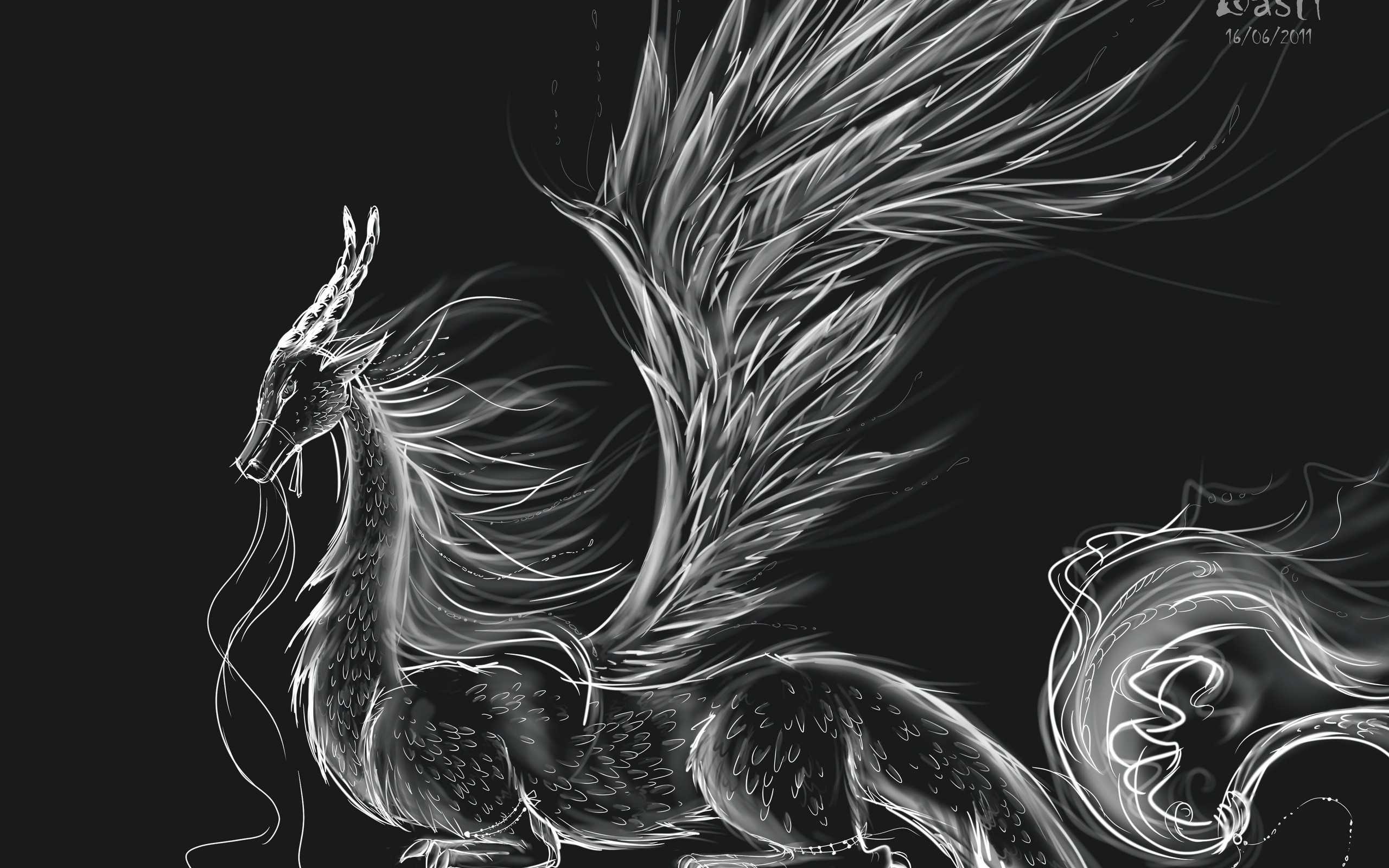 2560x1600 Black and White Dragon Wallpaper On HDWallpaperPage