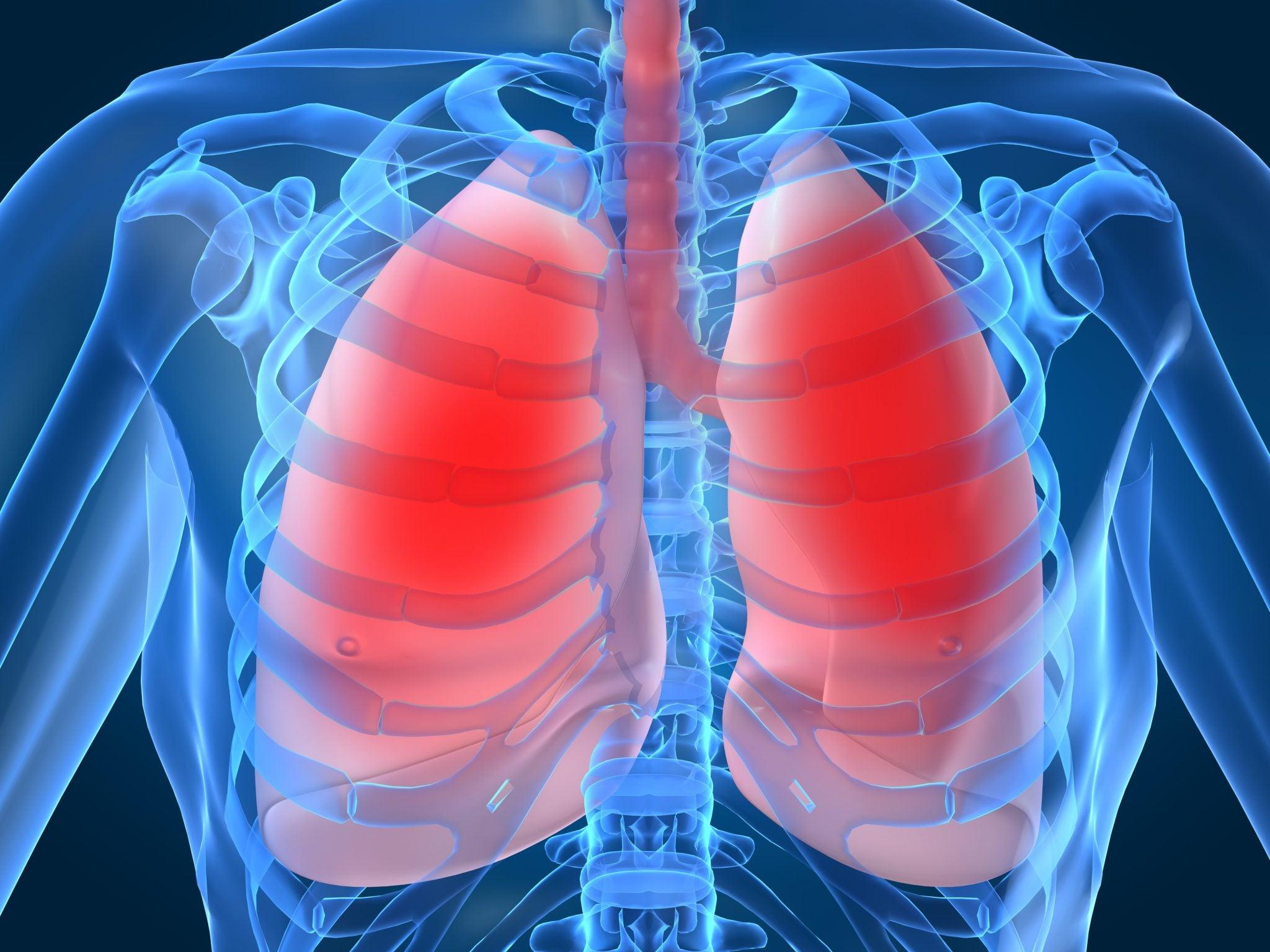 Respiratory System Wallpapers - Top Free Respiratory System Backgrounds
