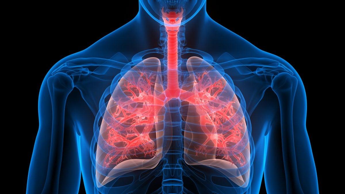 Respiratory System Wallpapers - Top Free Respiratory System Backgrounds ...