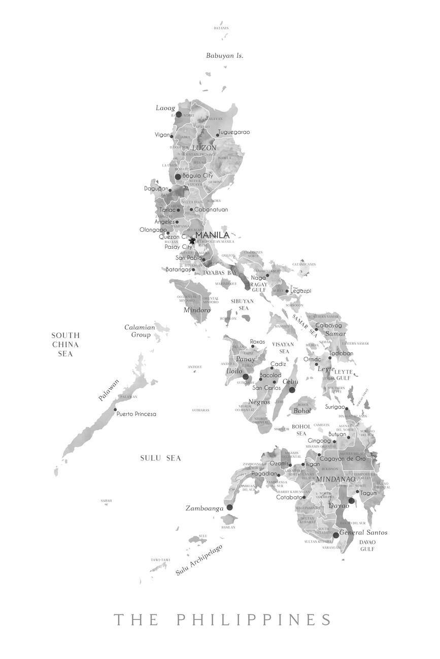 867x1300 Map of the Philippines in gray watercolor Wall Mural