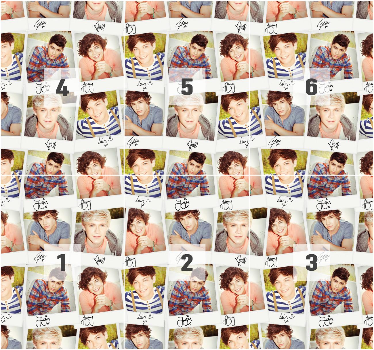 1300x1218 One Direction Wall Mural. Buy online at
