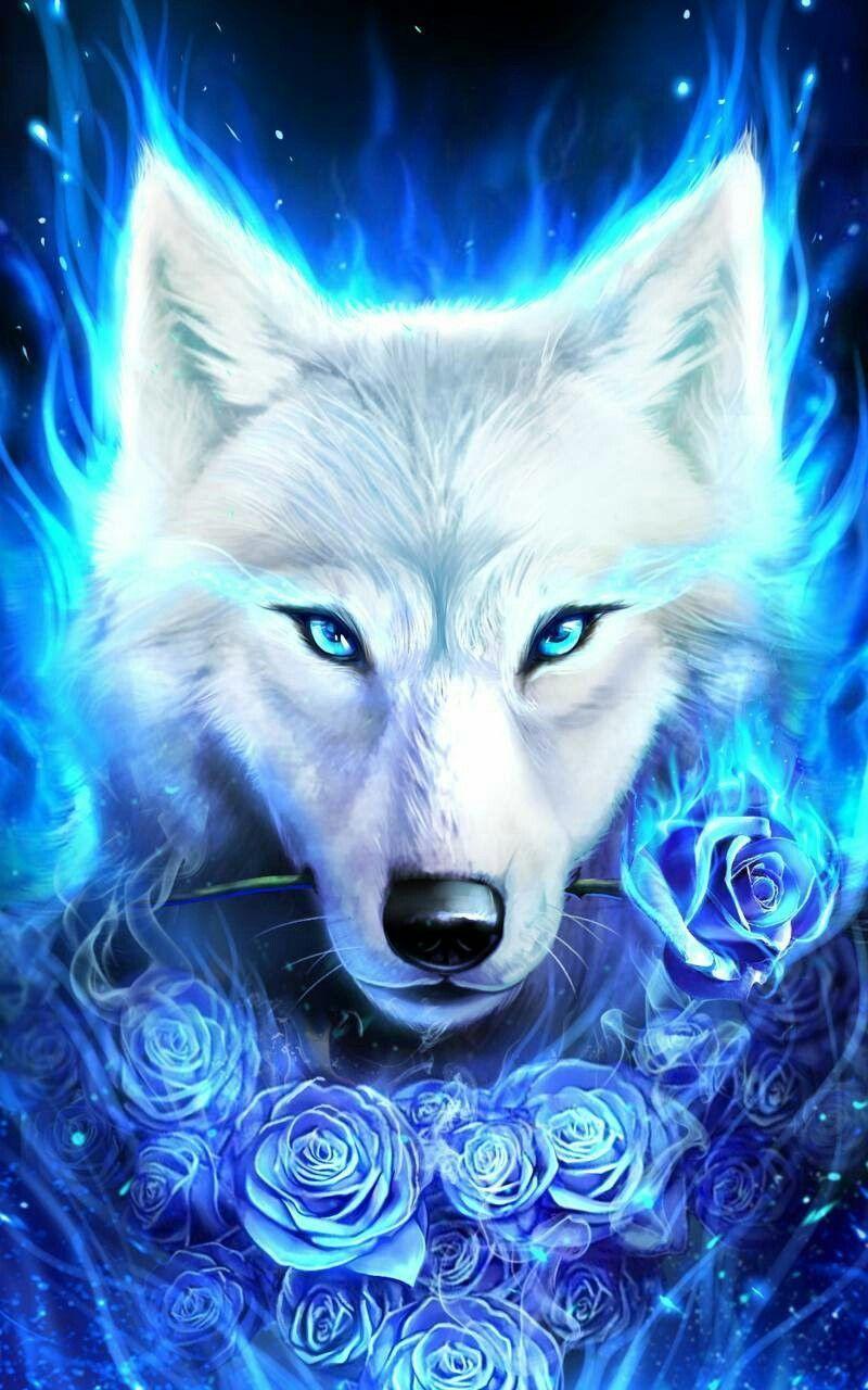 800x1280 Blue Fox Wallpaper