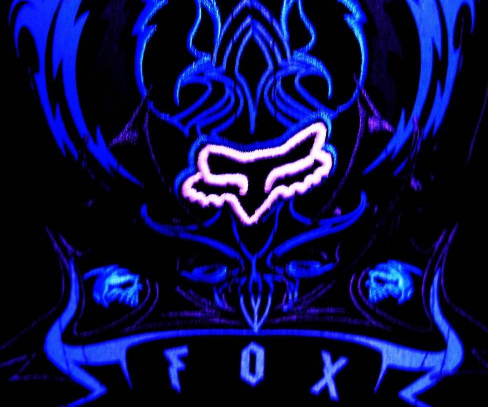 977x815 Blue Fox Wallpaper