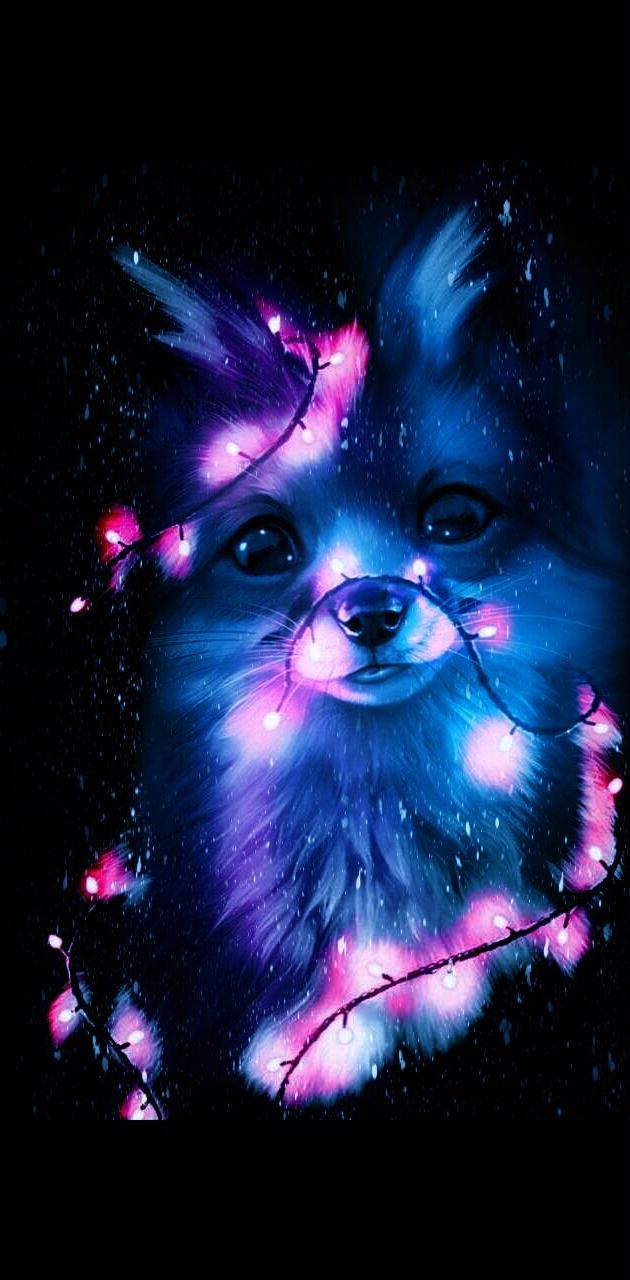 630x1280 Fox wallpaper