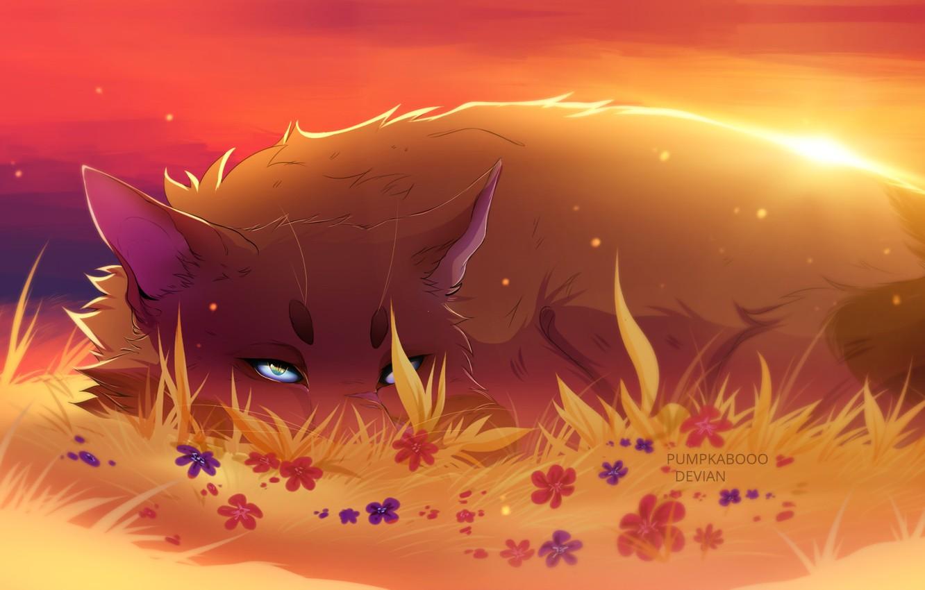 1332x850 Red And Blue Fox Wallpaper
