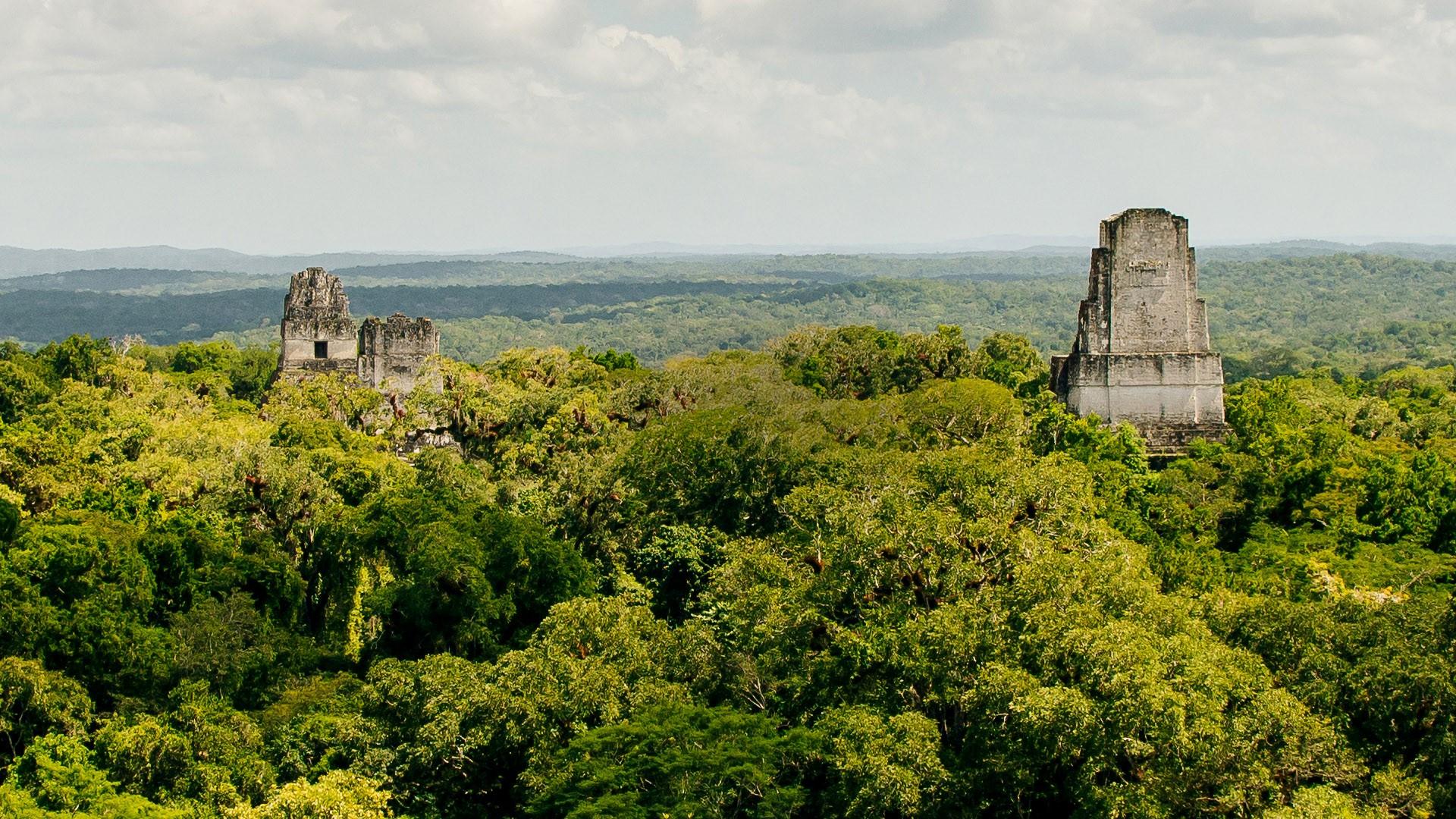 1920x1080 Tikal National Park ancient city ruins in a rainforest, El Petén, Guatemala. Windows 10 Spotlight Image