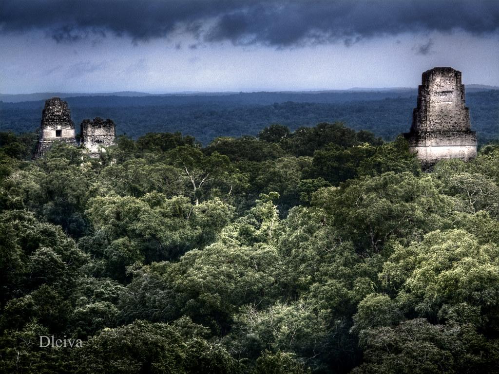 1024x768 Tikal (Petén / Guatemala). on Getty Image A la ve