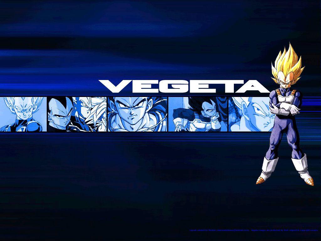 1024x768 Prince Vegeta image vegeta HD wallpaper and background photo
