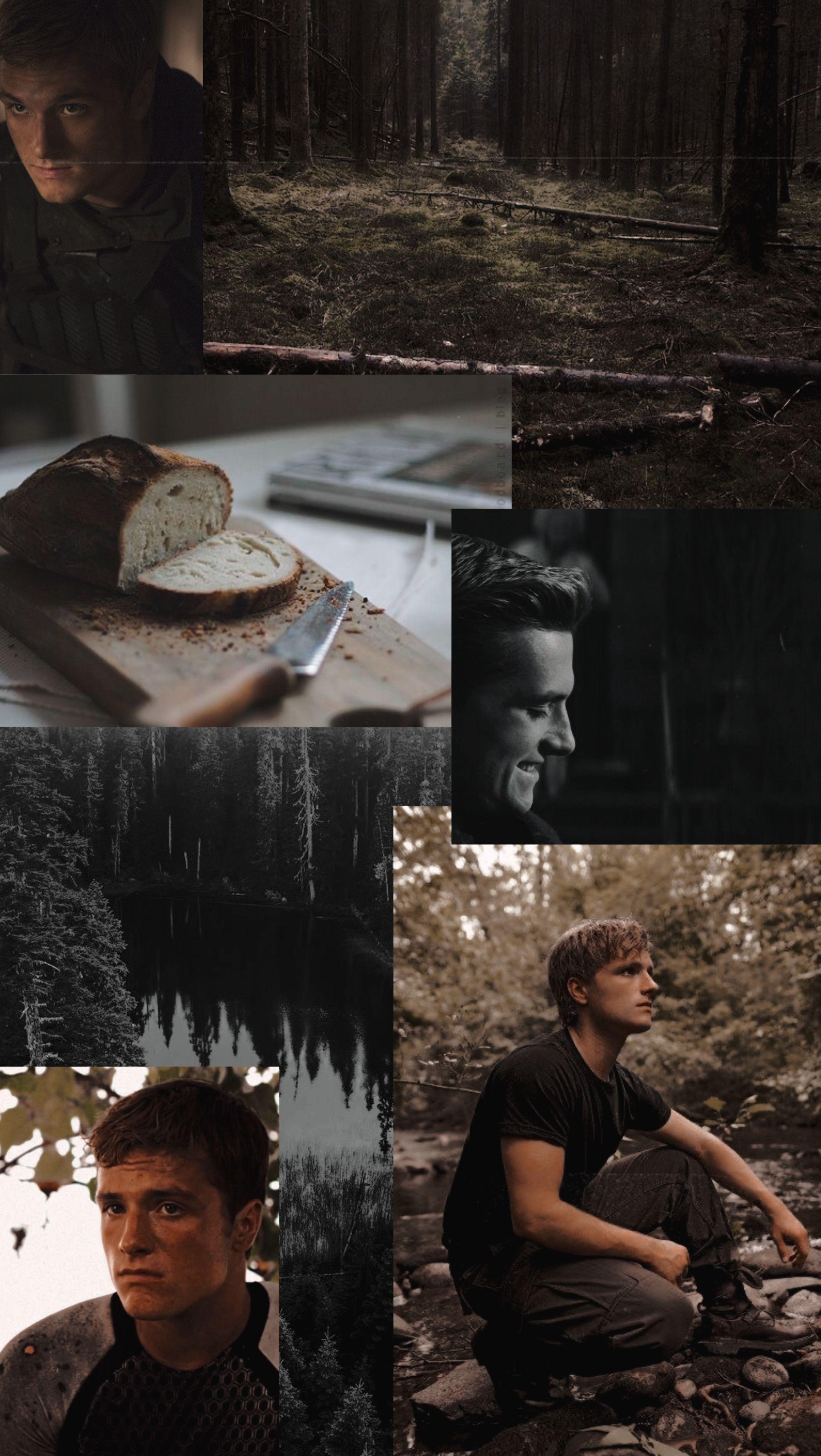 Peeta Mellark Wallpapers - Top Free Peeta Mellark Backgrounds