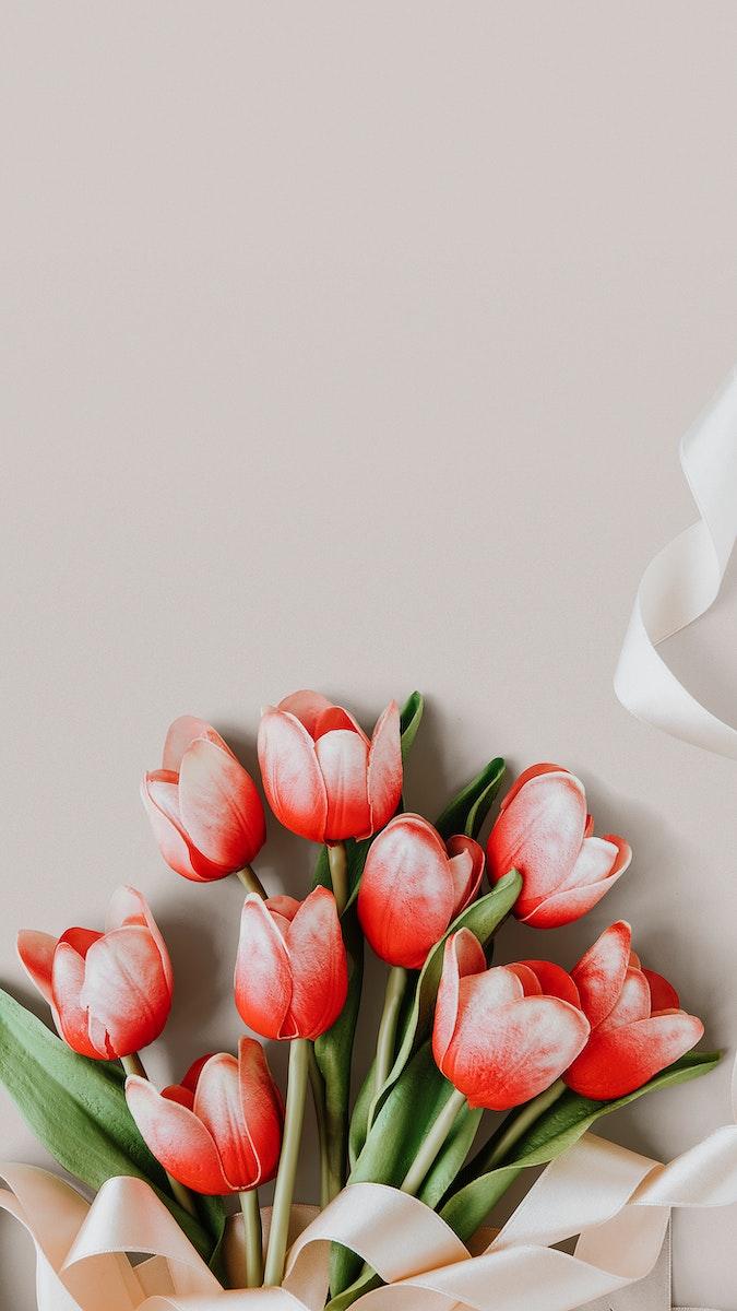 675x1200 Tulip Background Image Wallpaper